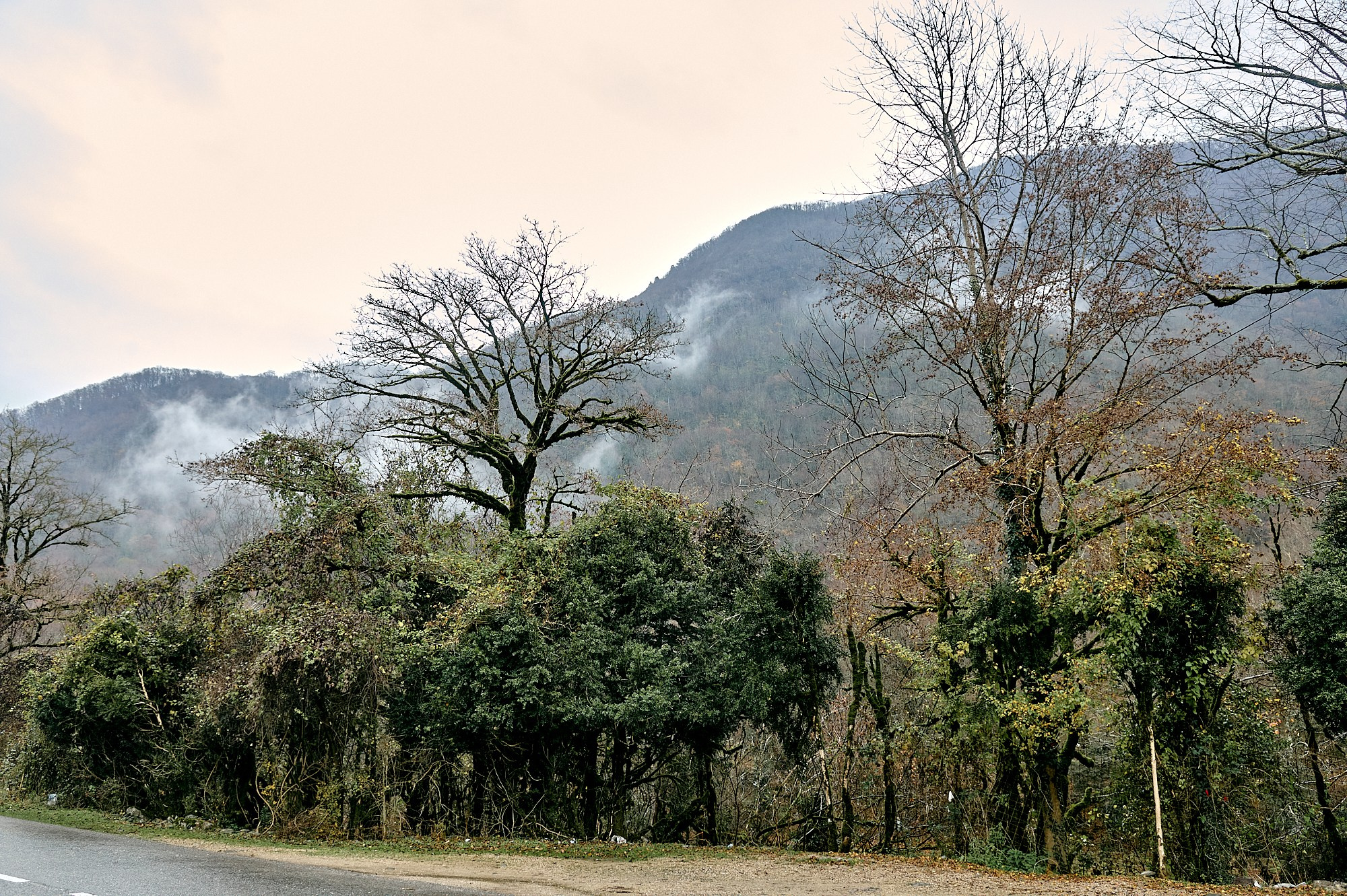 Озеро Рица, Абхазия. Декабрь 2024. Фотографии отовсюду и обо всем