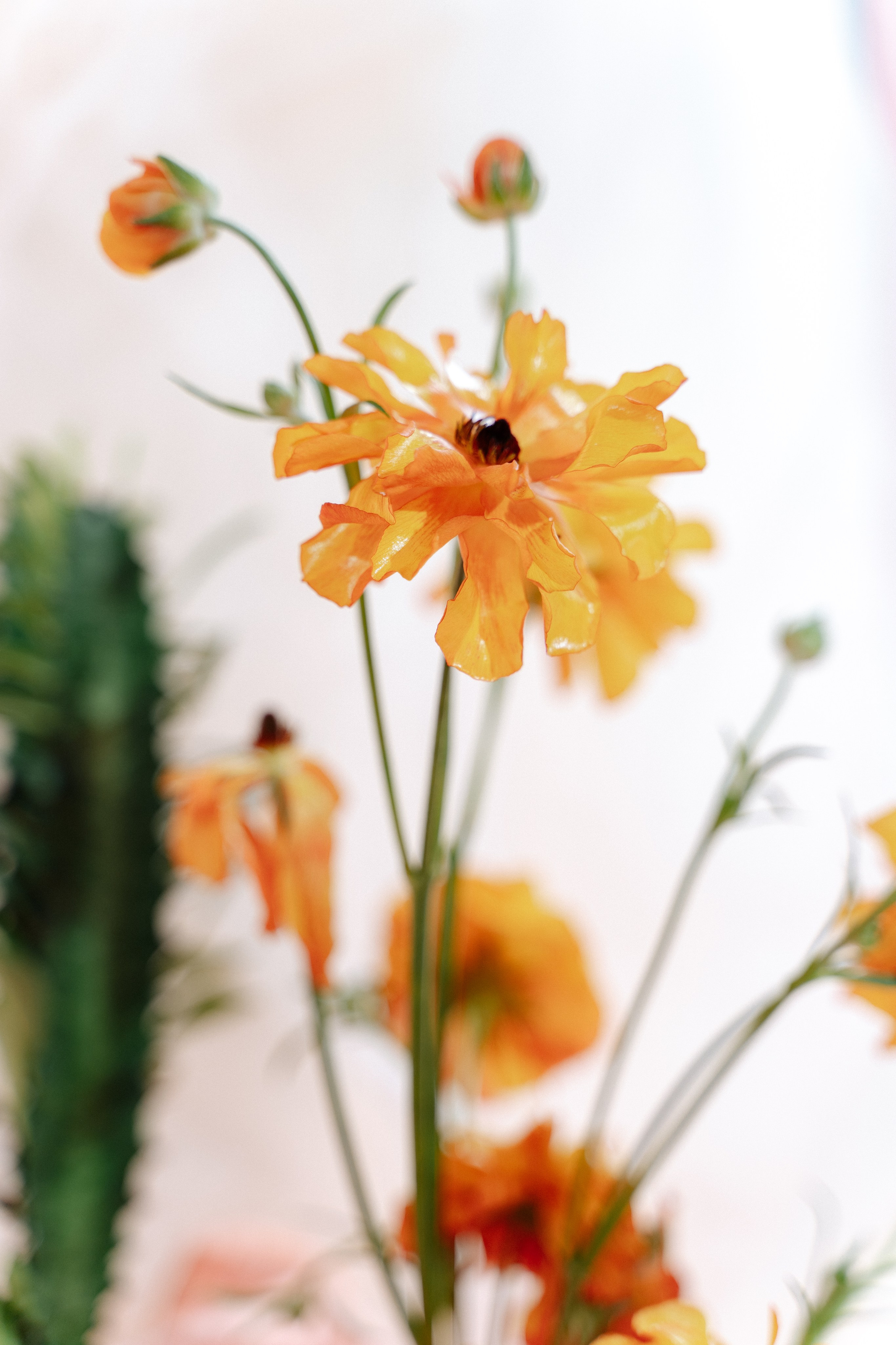 Свадебный фотограф  Ростов-на-Дону Моска, Санкт — Петербург