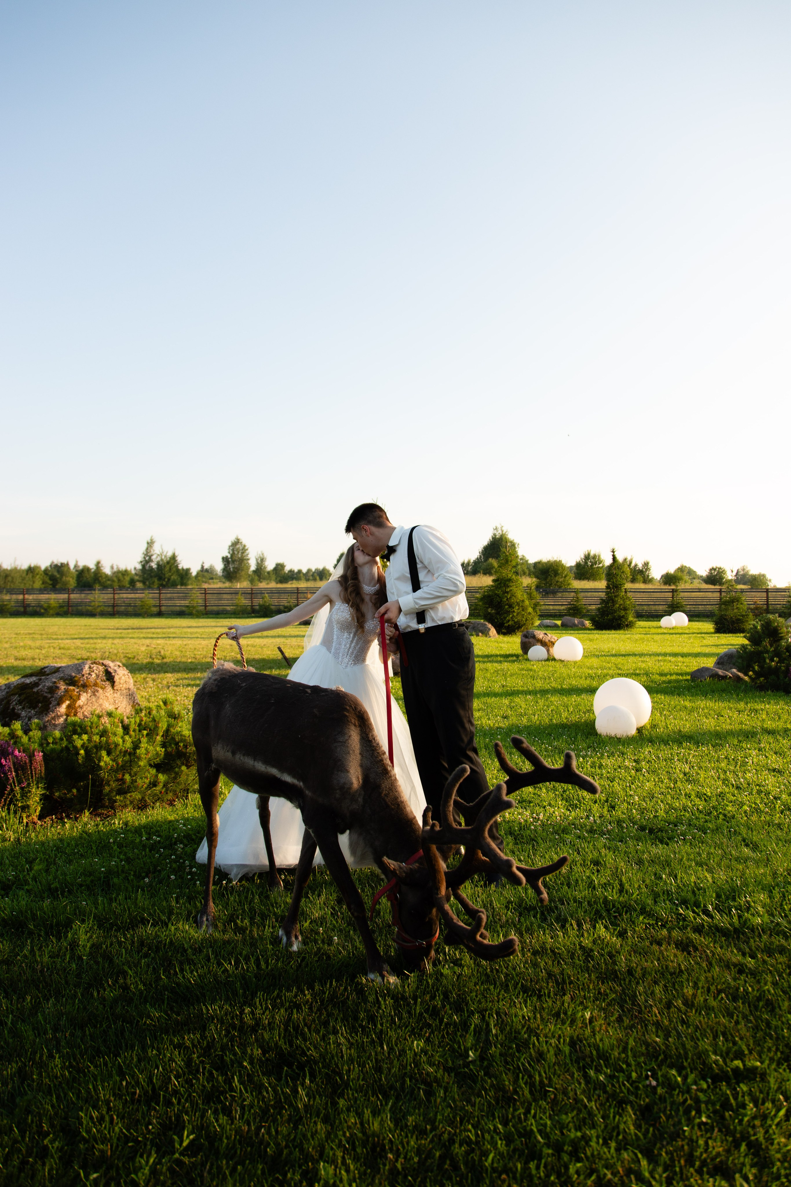 Лилиана и Сергей. Свадебный фотограф в СПб и Москве Павел Сергеев