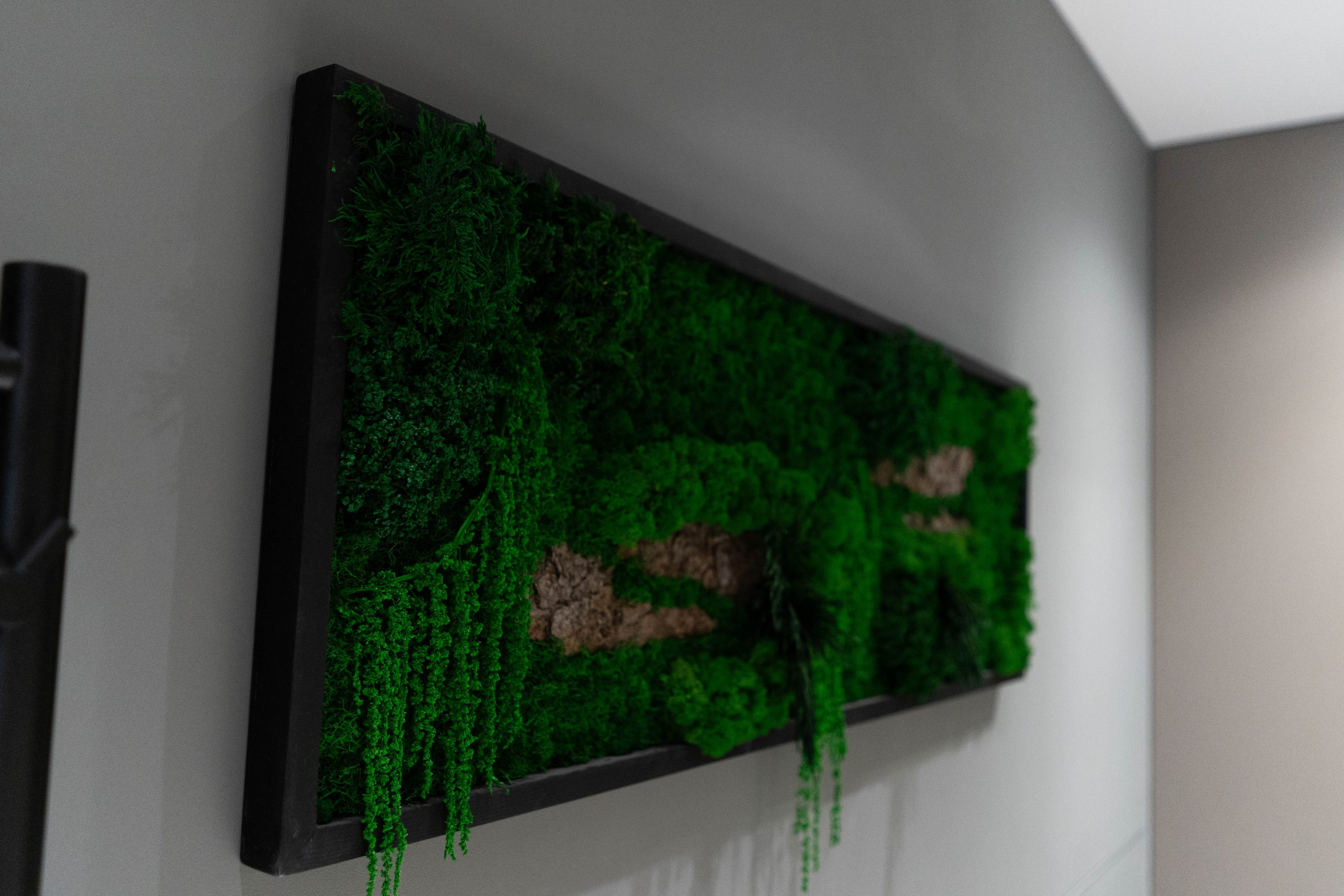 KP Cambridge. Rezyame