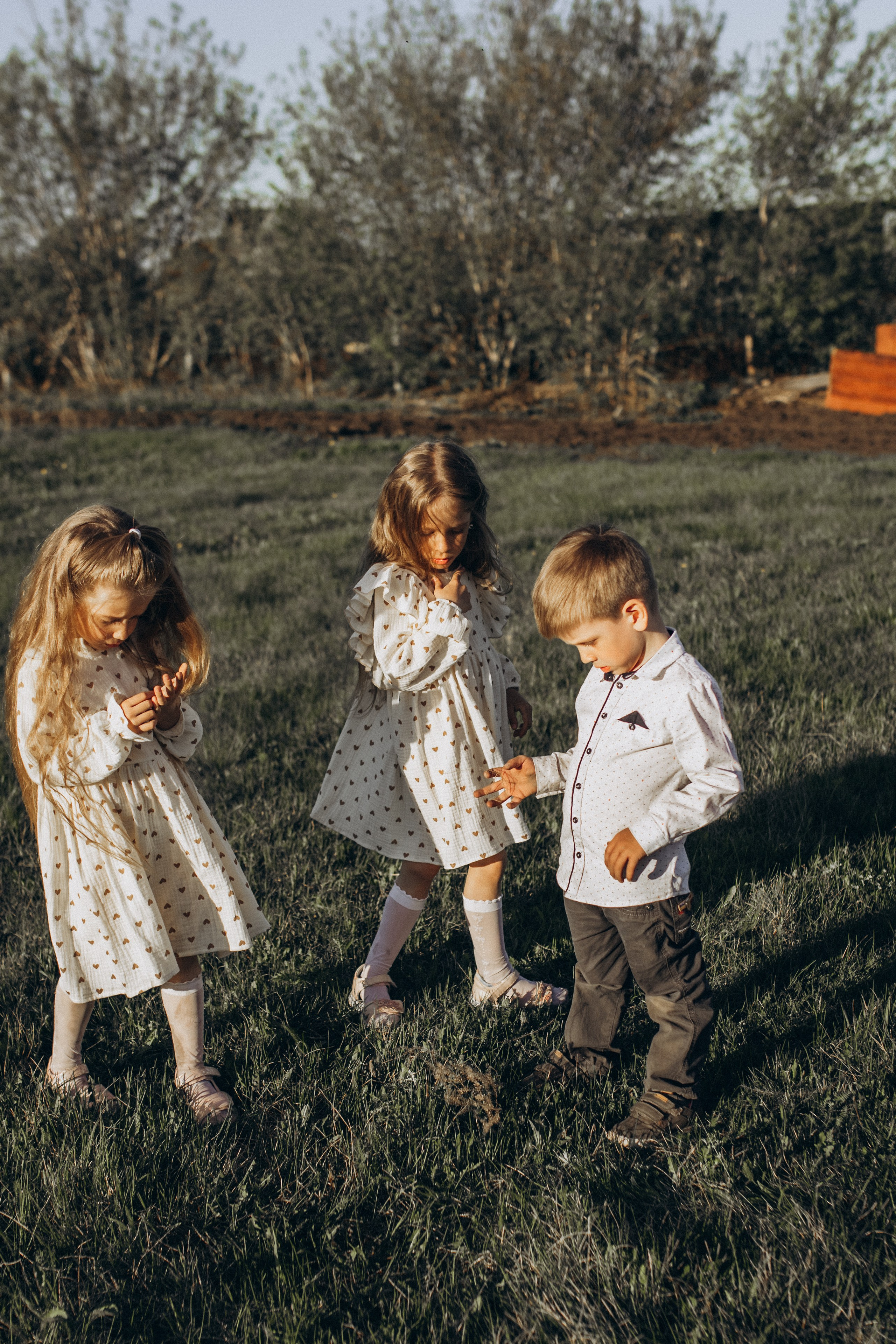 Саша, Миша, Вера и Вика летняя прогулочная съёмка. Семейный фотограф lifestyle в Новосибирске Елена Шпилевая