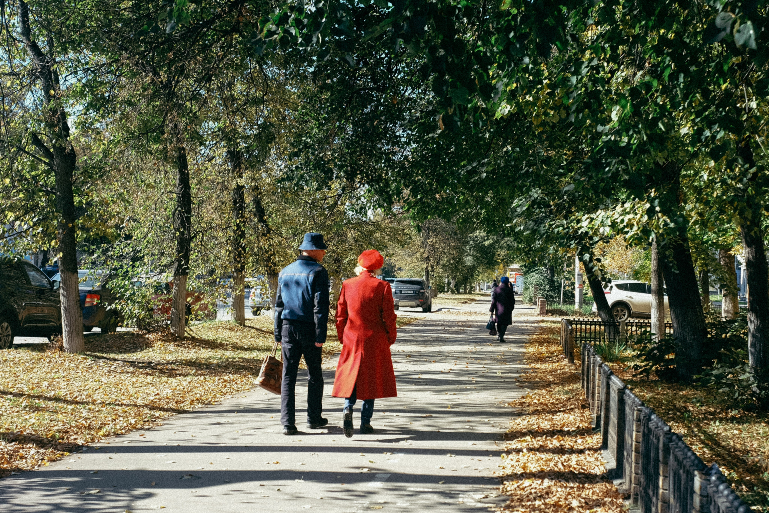 Осень. Фотограф Мурманск | Нижний Новгород • Анна Хижняк