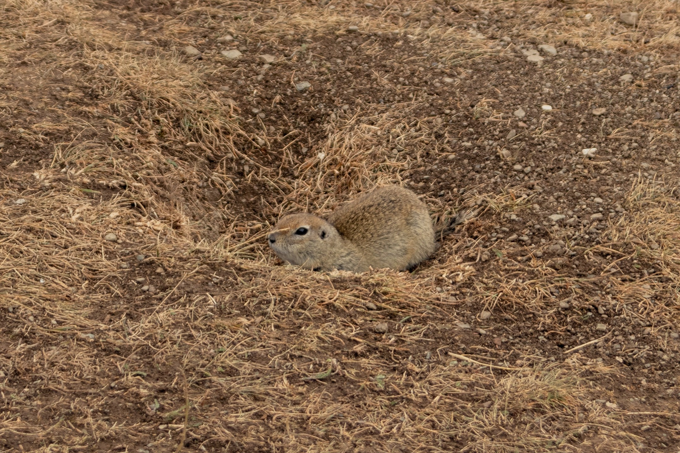Кабардино-Балкария. Фотограф Севастополь, Крым. Портретный и репортажный фотограф Коваленко Антонина