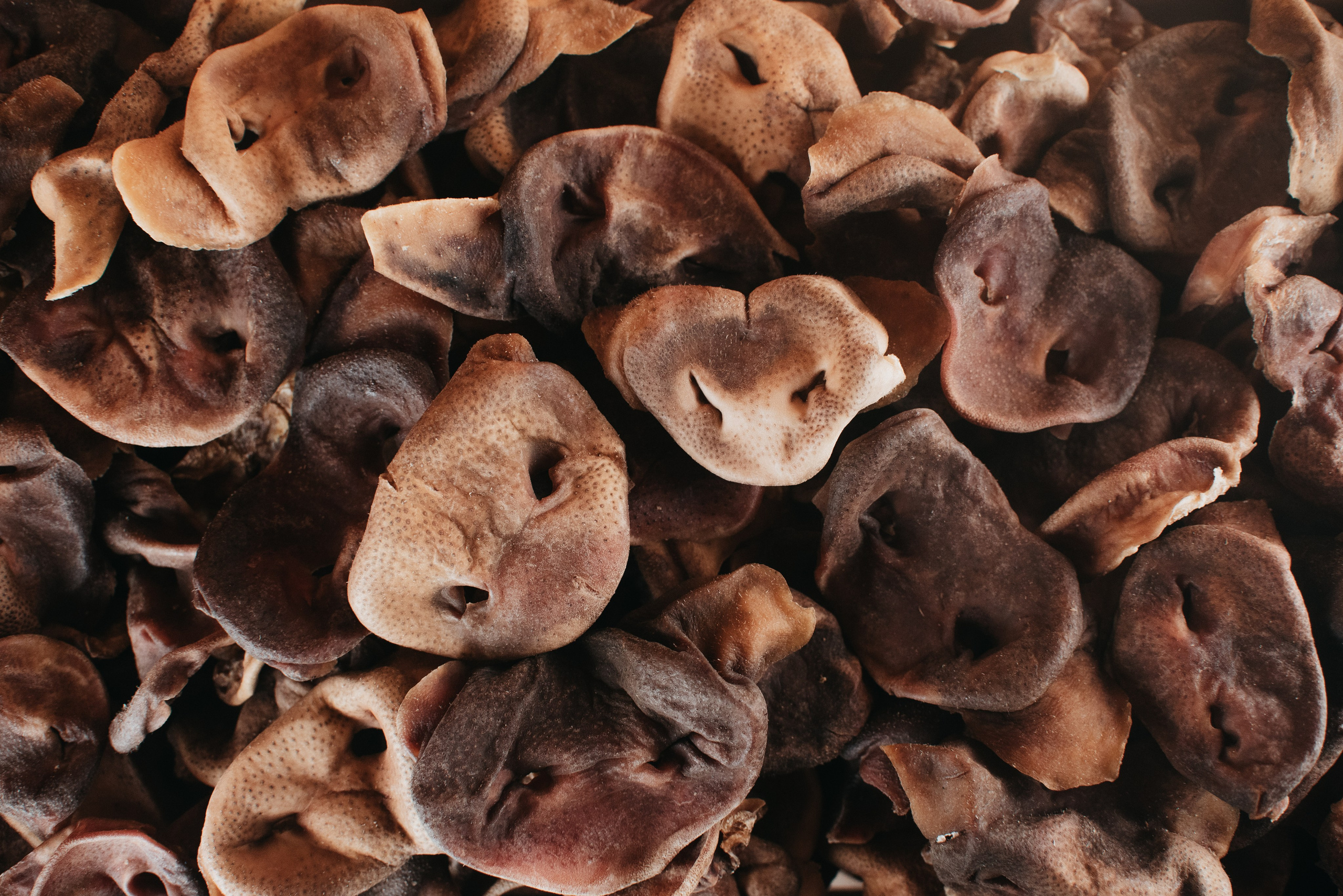 Dog Bone лакомства. Фотограф-анималист Валерия, Москва, Мытищи