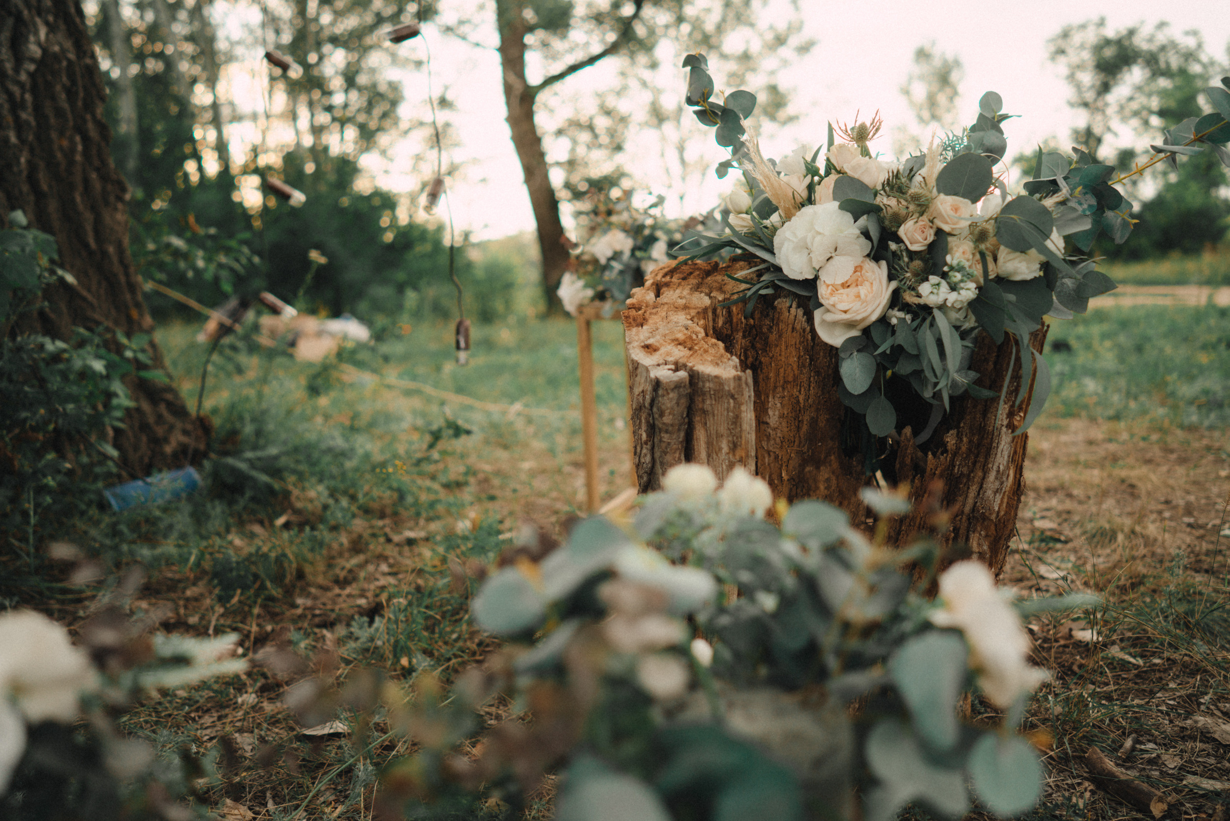 Огни 2019. Фотограф Илья Рудаков