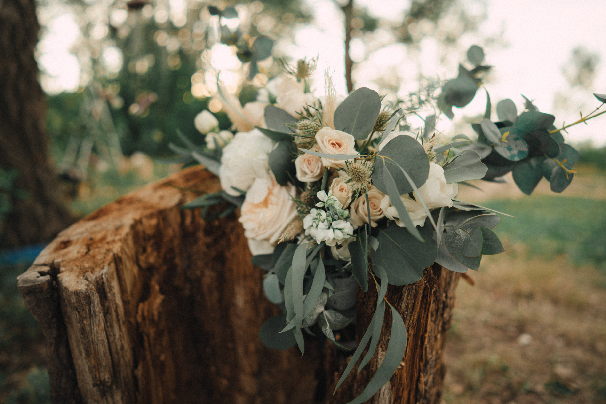 Огни 2019. Фотограф Илья Рудаков