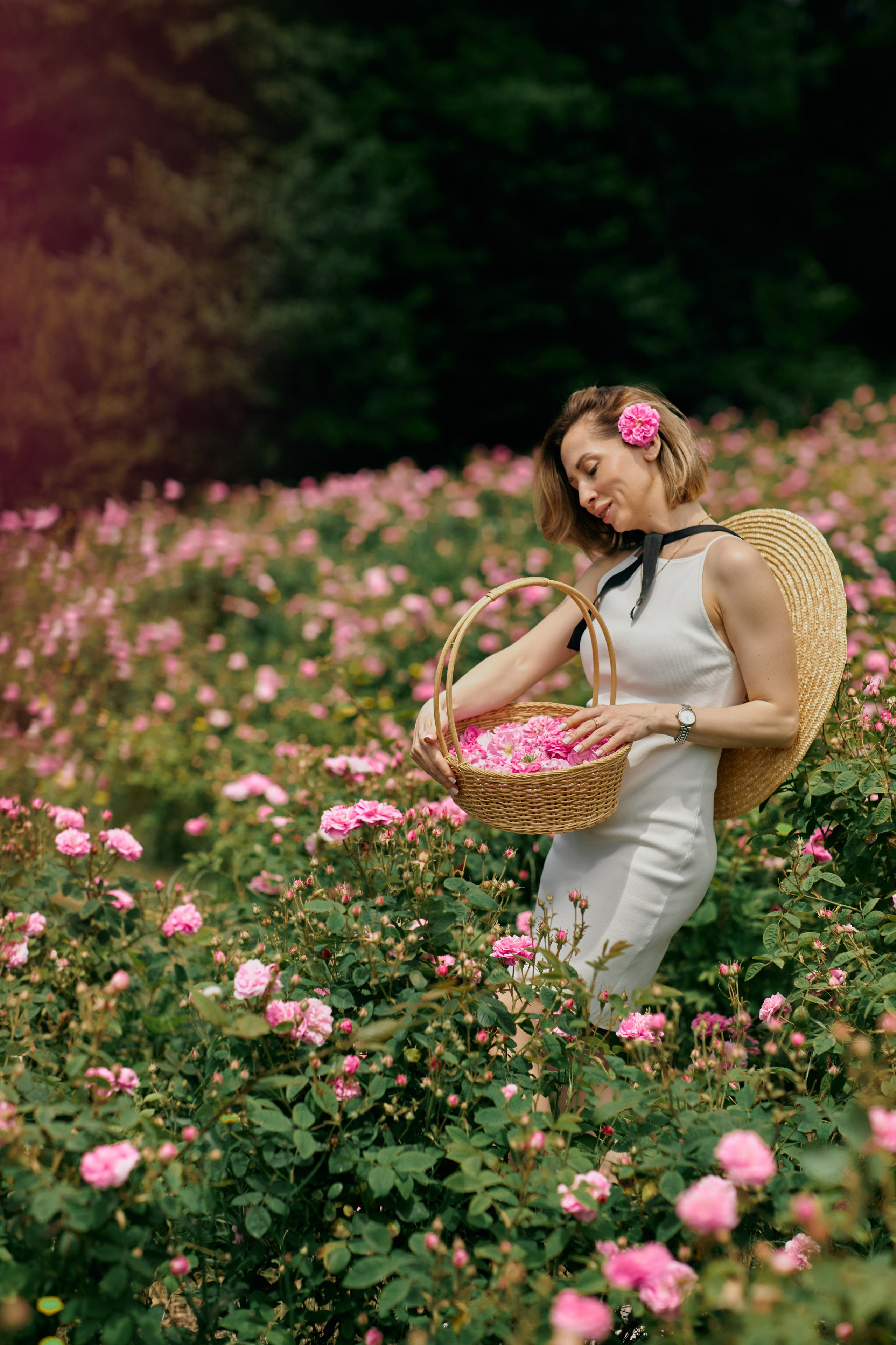 Розы Красная поляна Анна. Свадебный и семейный фотограф в Сочи-Красной поляне Ларионова Анна