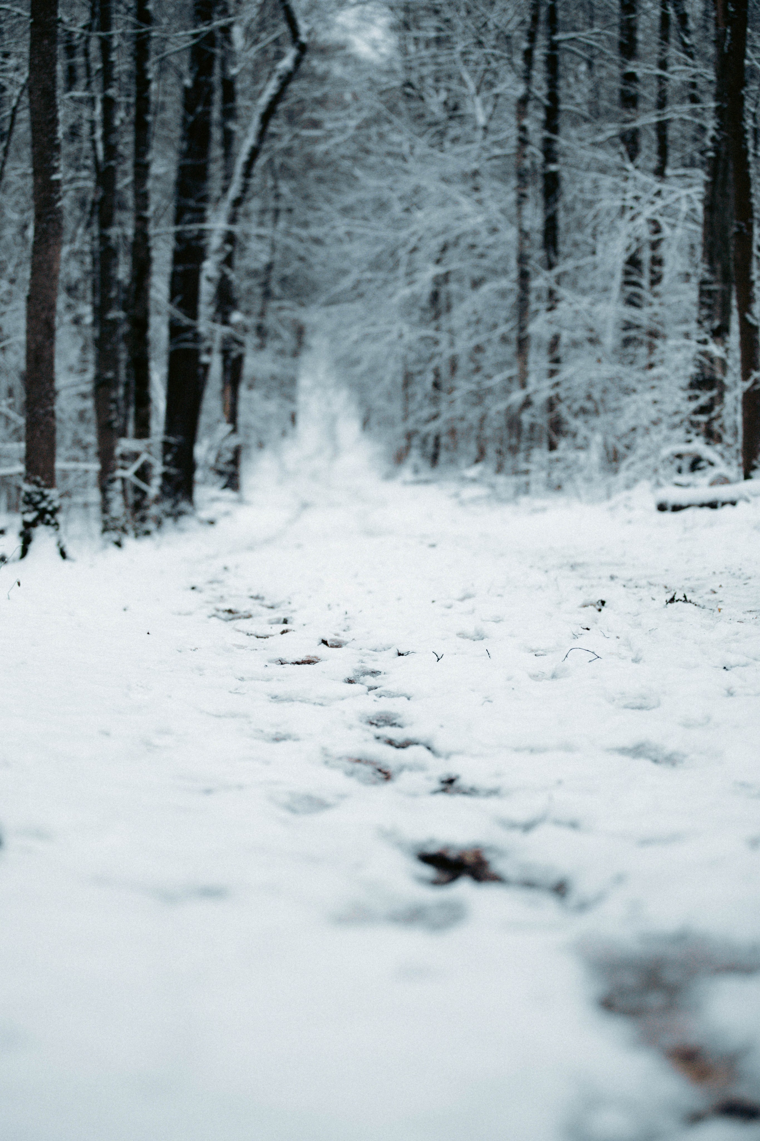 Марафон у дома_Бунино. Александра Мельниченко/ Бегающий фотограф