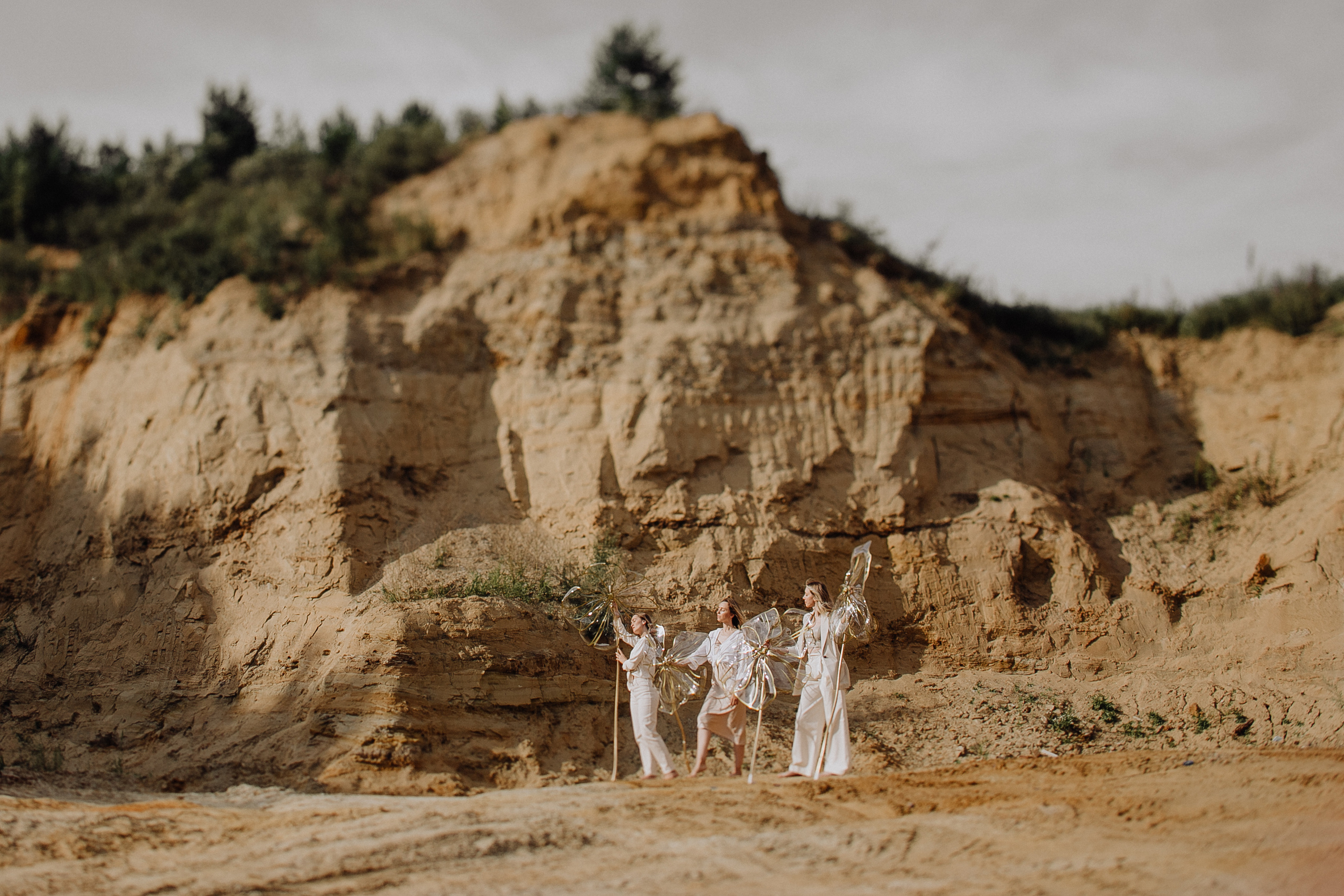 Цветы в Пустыне. Фотограф в Красноярске Надежда Воскресенская