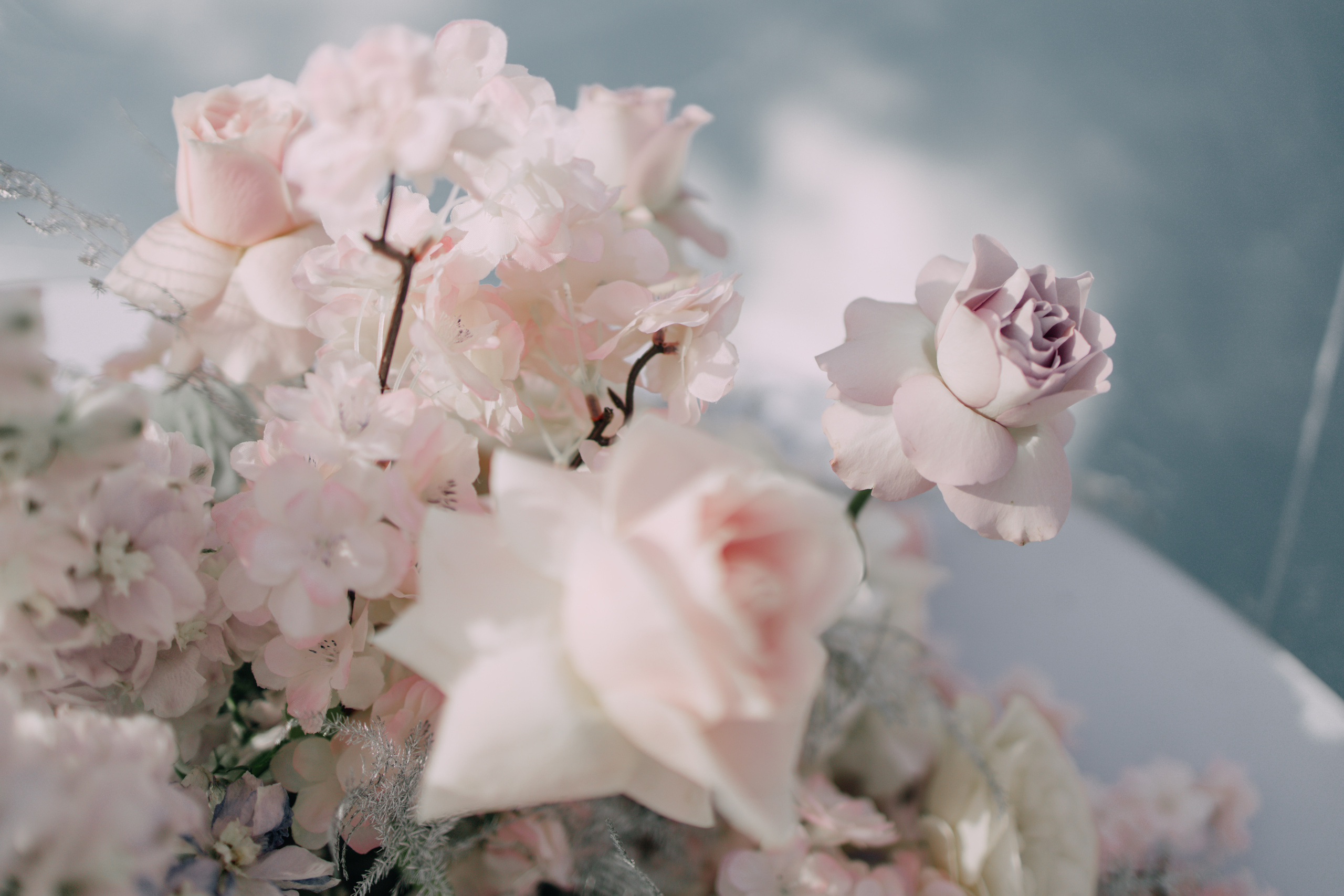 Welcome+Регистрация. Фотограф в Красноярске Надежда Воскресенская