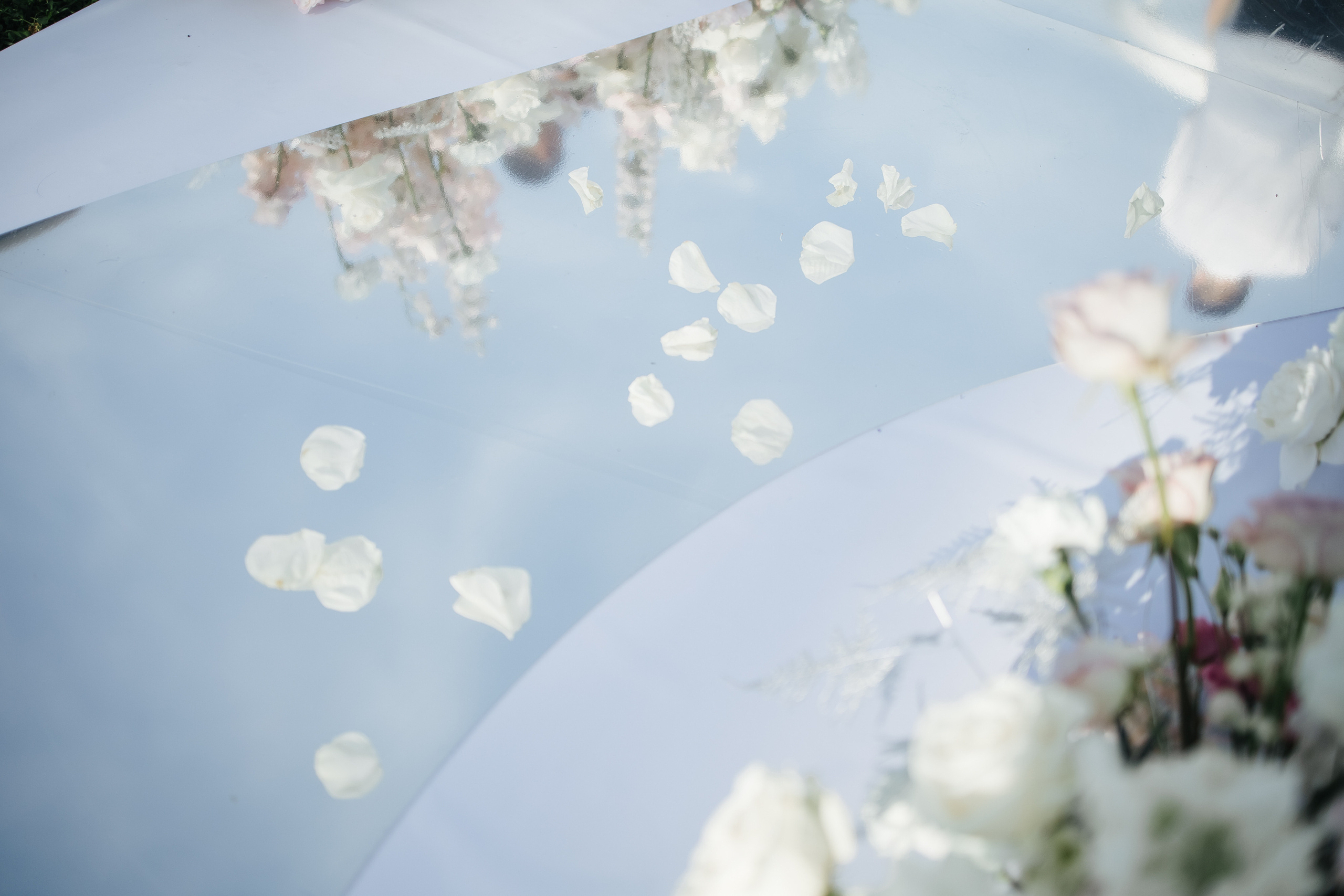 Welcome+Регистрация. Фотограф в Красноярске Надежда Воскресенская