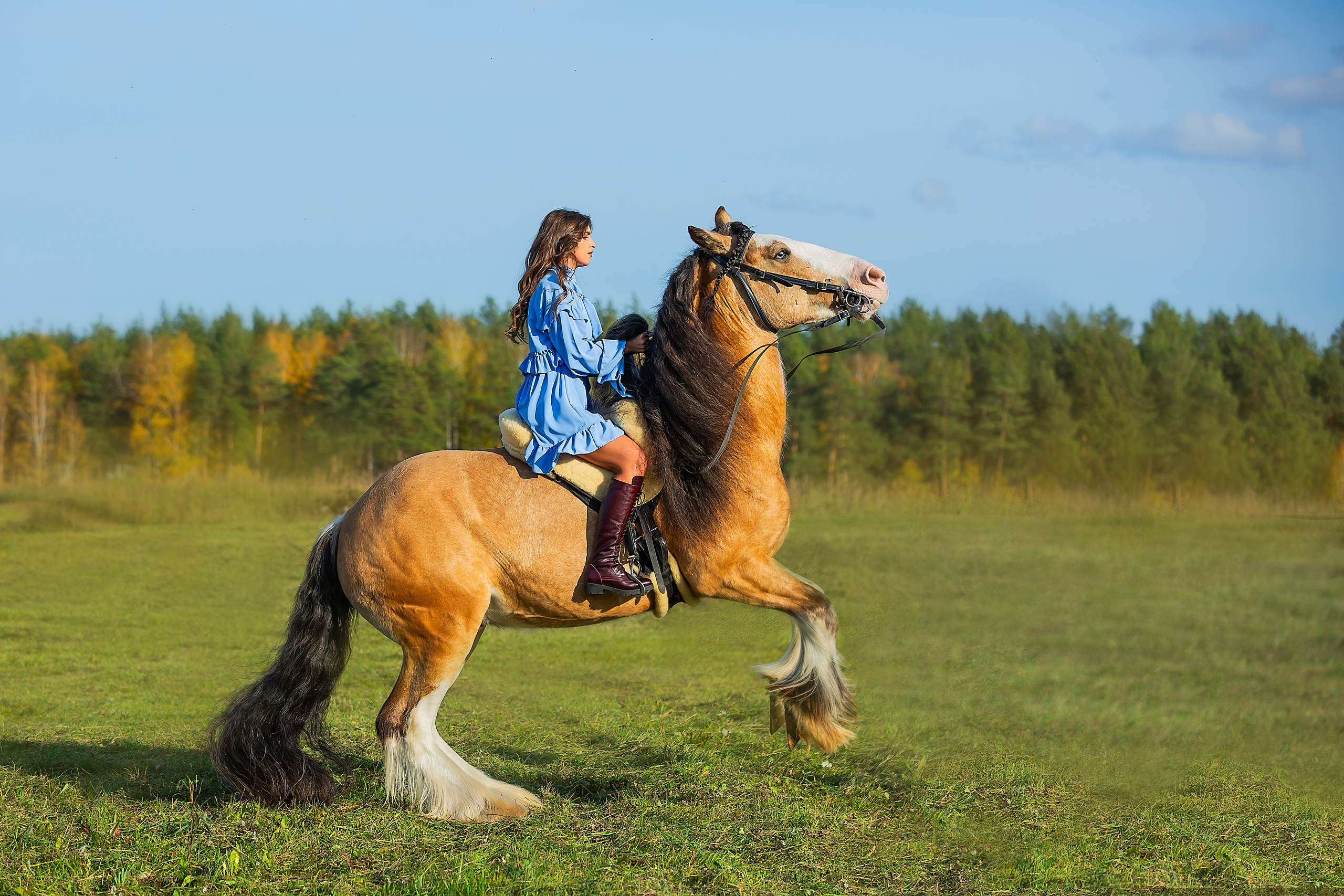Фотосессия с лошадью. Фотограф Анималист Наталья Корс Екатеринбург