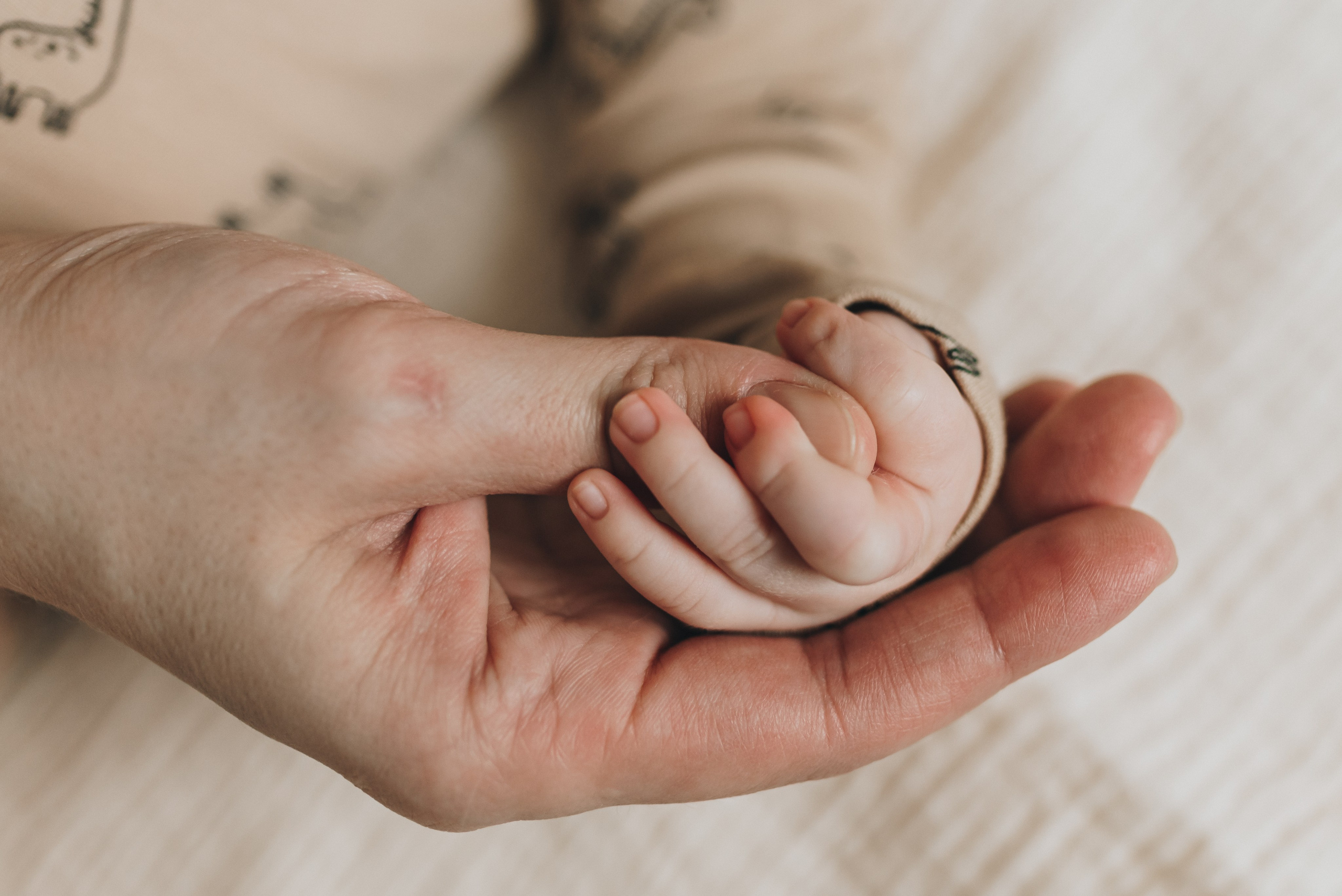 Sveta Dima Kira & Artem. Natalia Finch Photography — Family, Kids & Pet Photographer in Chicago, IL