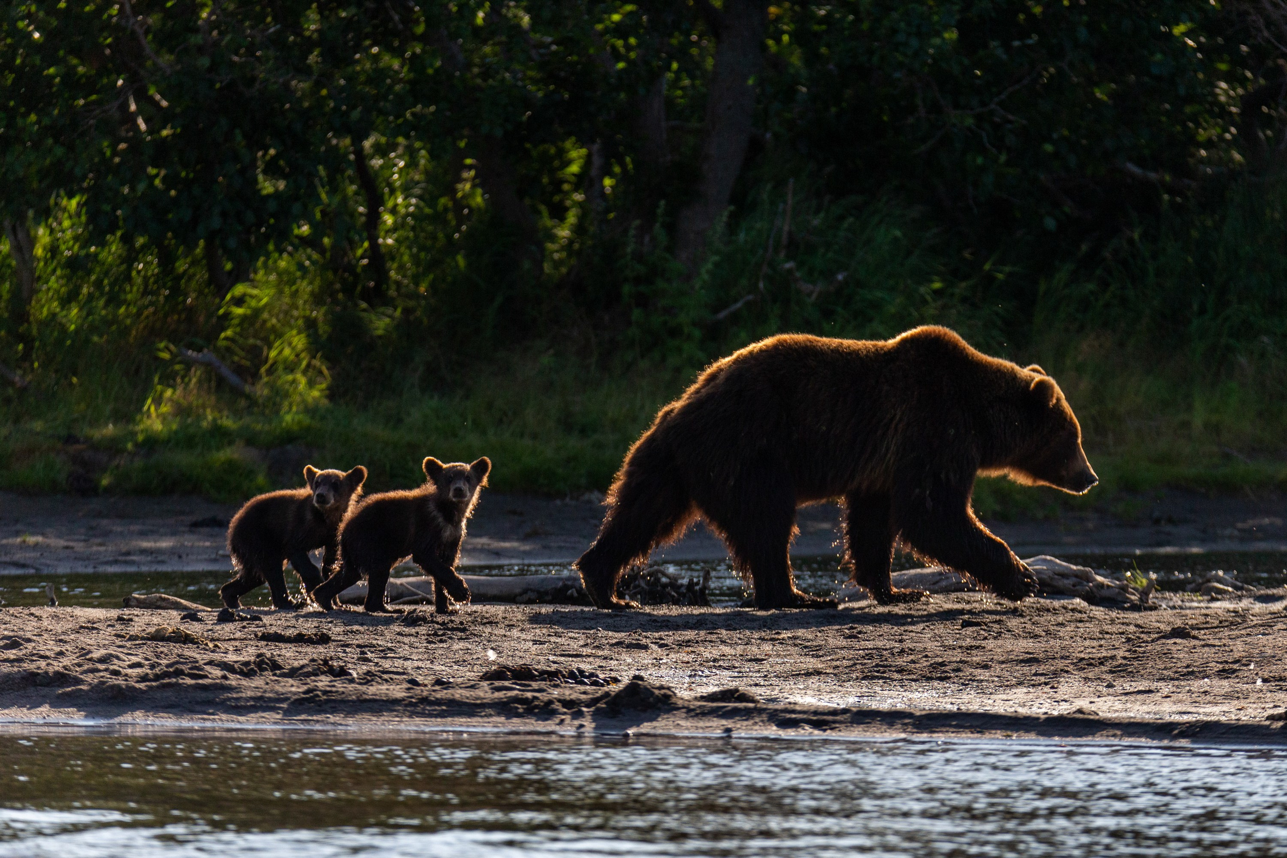 Время Камчатки: чтобы найти свой путь, нужно скорость умножить на время