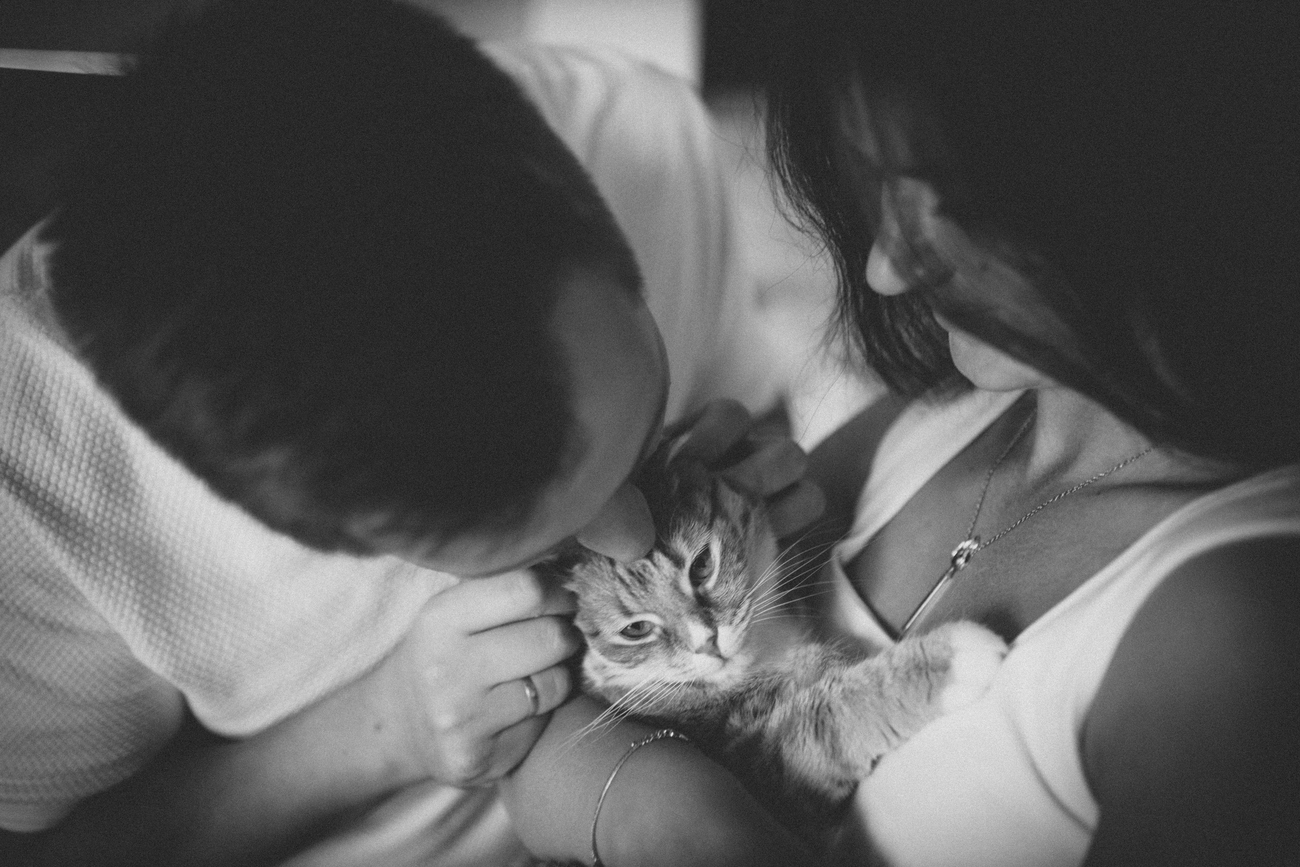 Аня, Кирилл и Ярослав. Семейный фотограф и фотограф на роды в Ростове-на-Дону Мухина Виктория