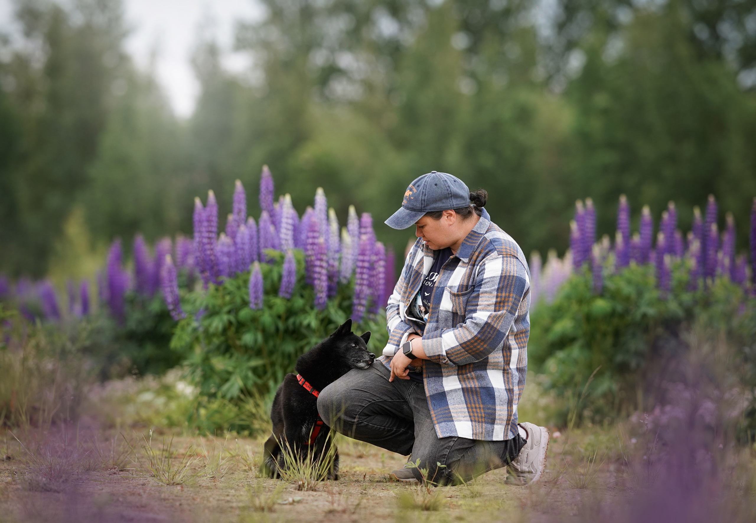 Аня Арчи и Панда в люпинах. Фотограф-анималист в Санкт-Петербурге Яна Мартынова
