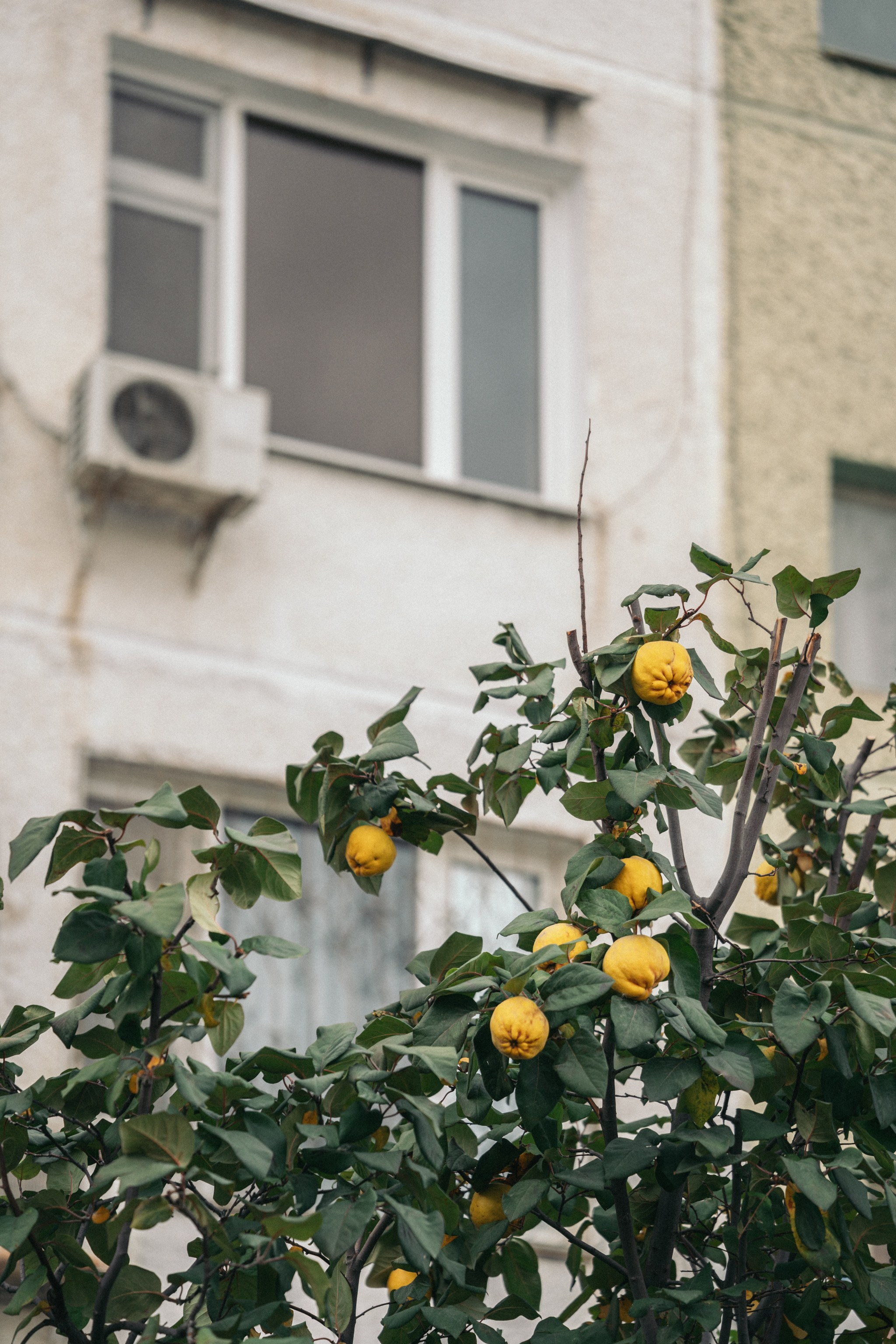 Актау, Ноябрь 2024