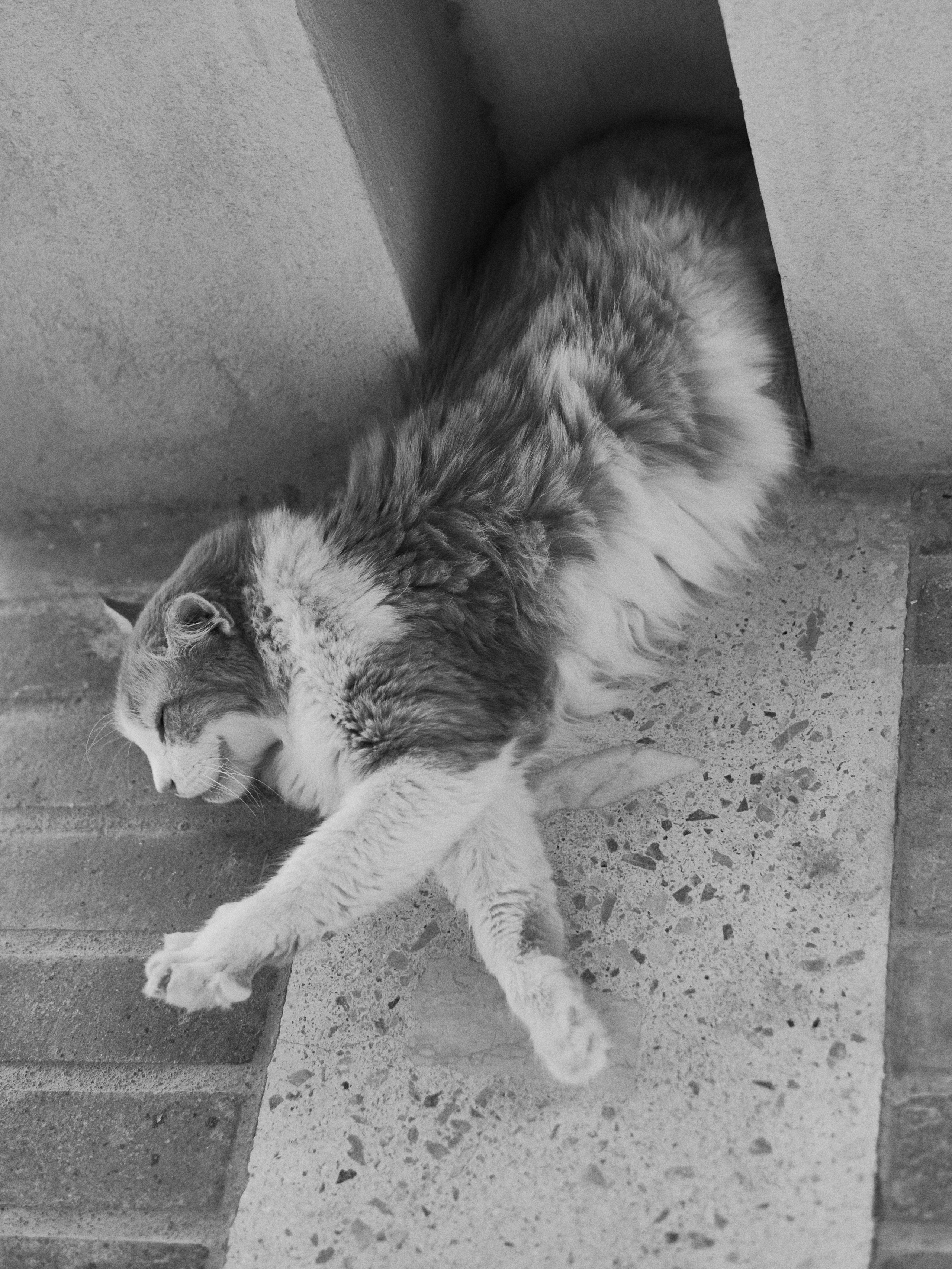 Другое 3. Jorgis Talè — photographer, kind person, teacher of arts and other mag