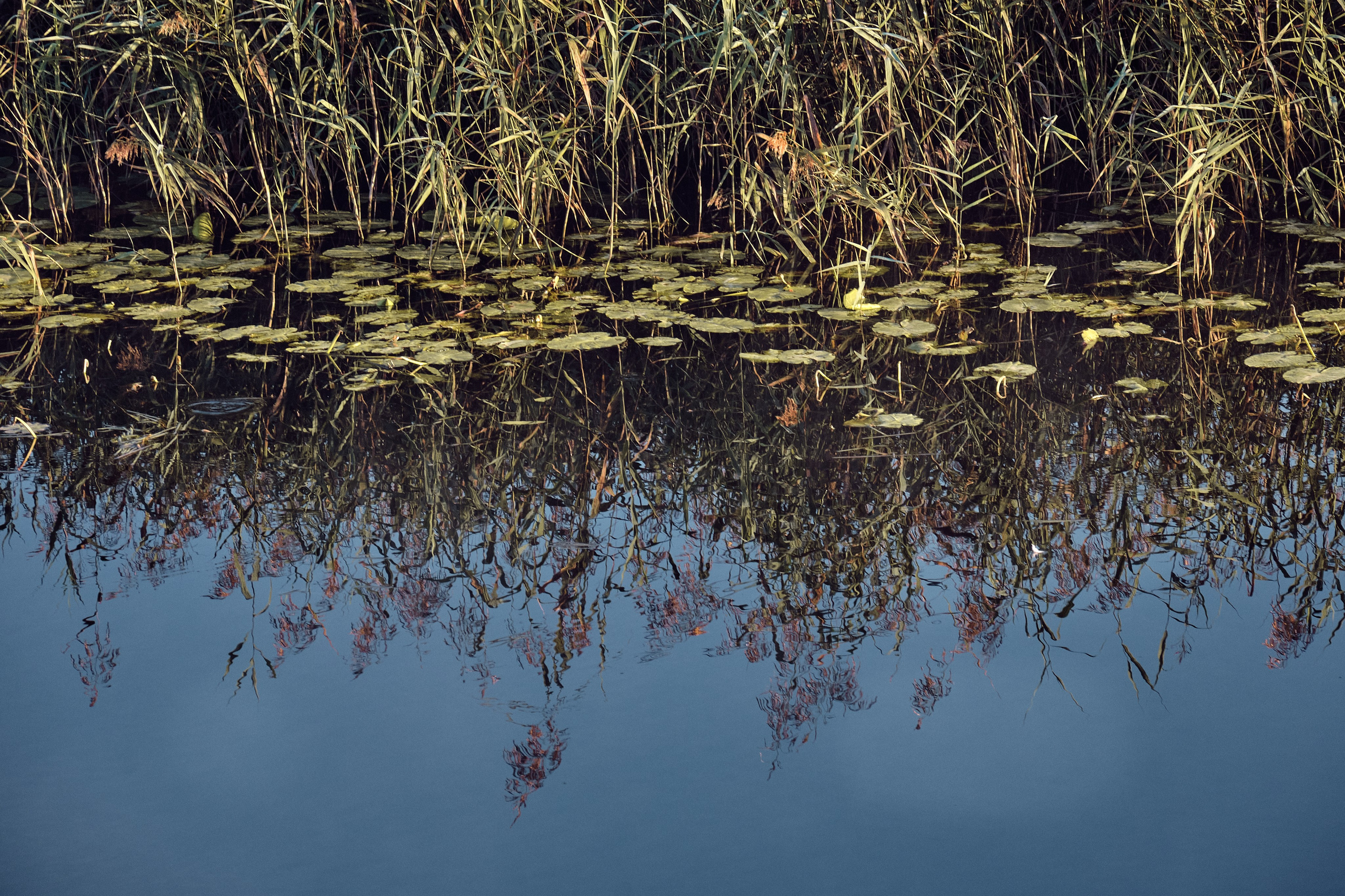 Suzdal City / The Golden Ring of Russia. Aleksandr Kobtsev