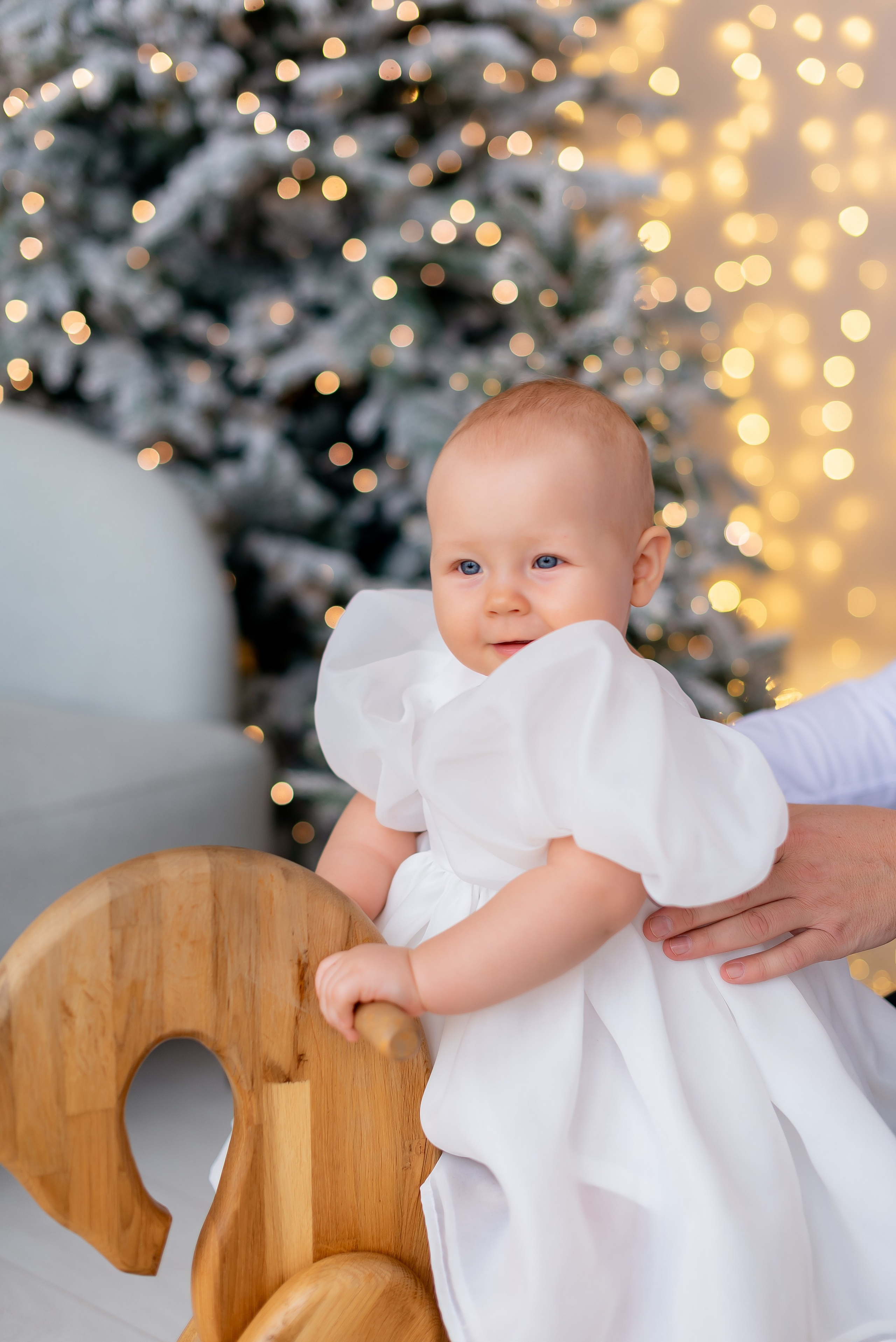 Новогодняя студия Скандибек. Фотограф Татьяна Иванчикова