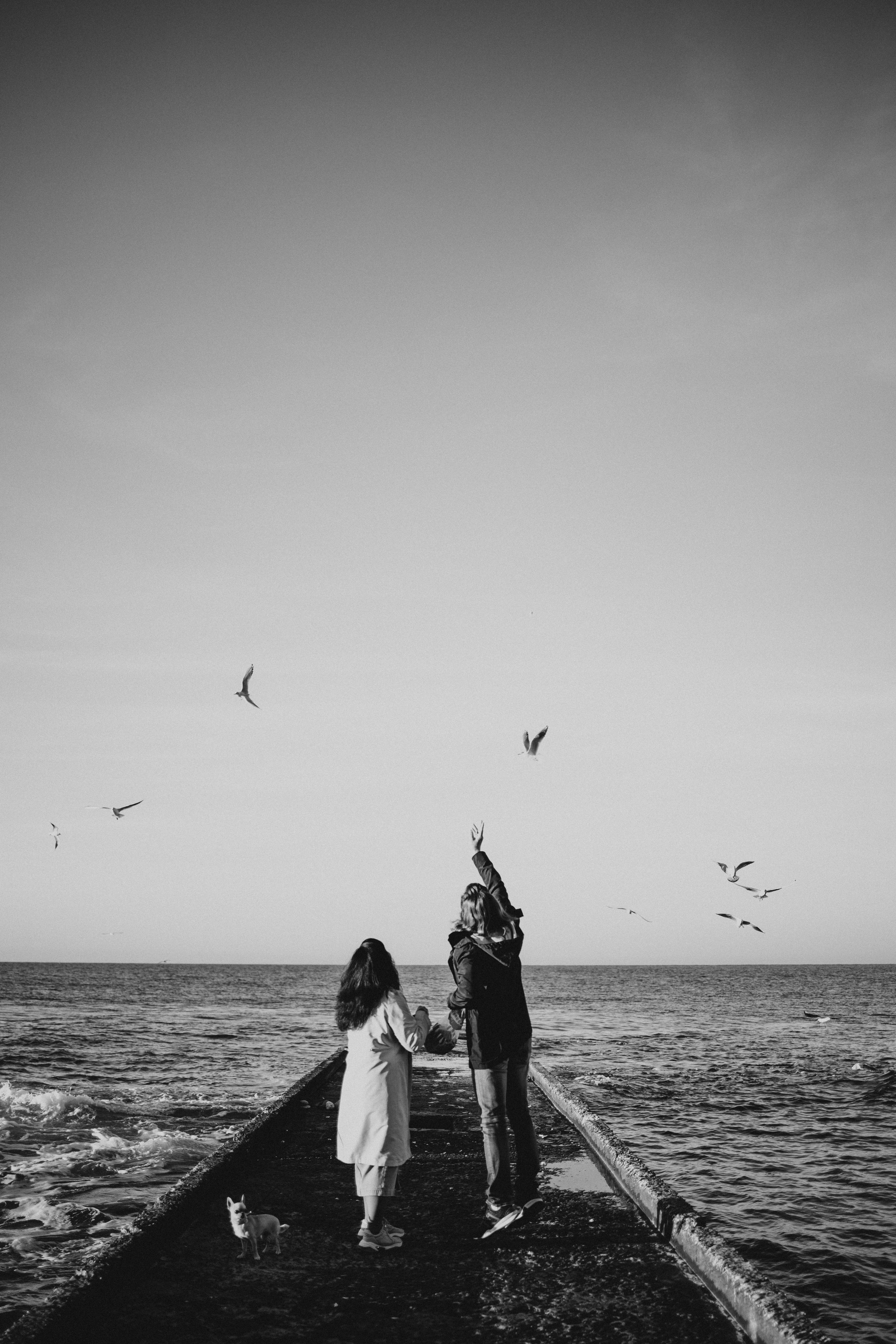 Оля и Роман. Фотограф в Москве, Сочи и Красной Поляне Елена Федоткина