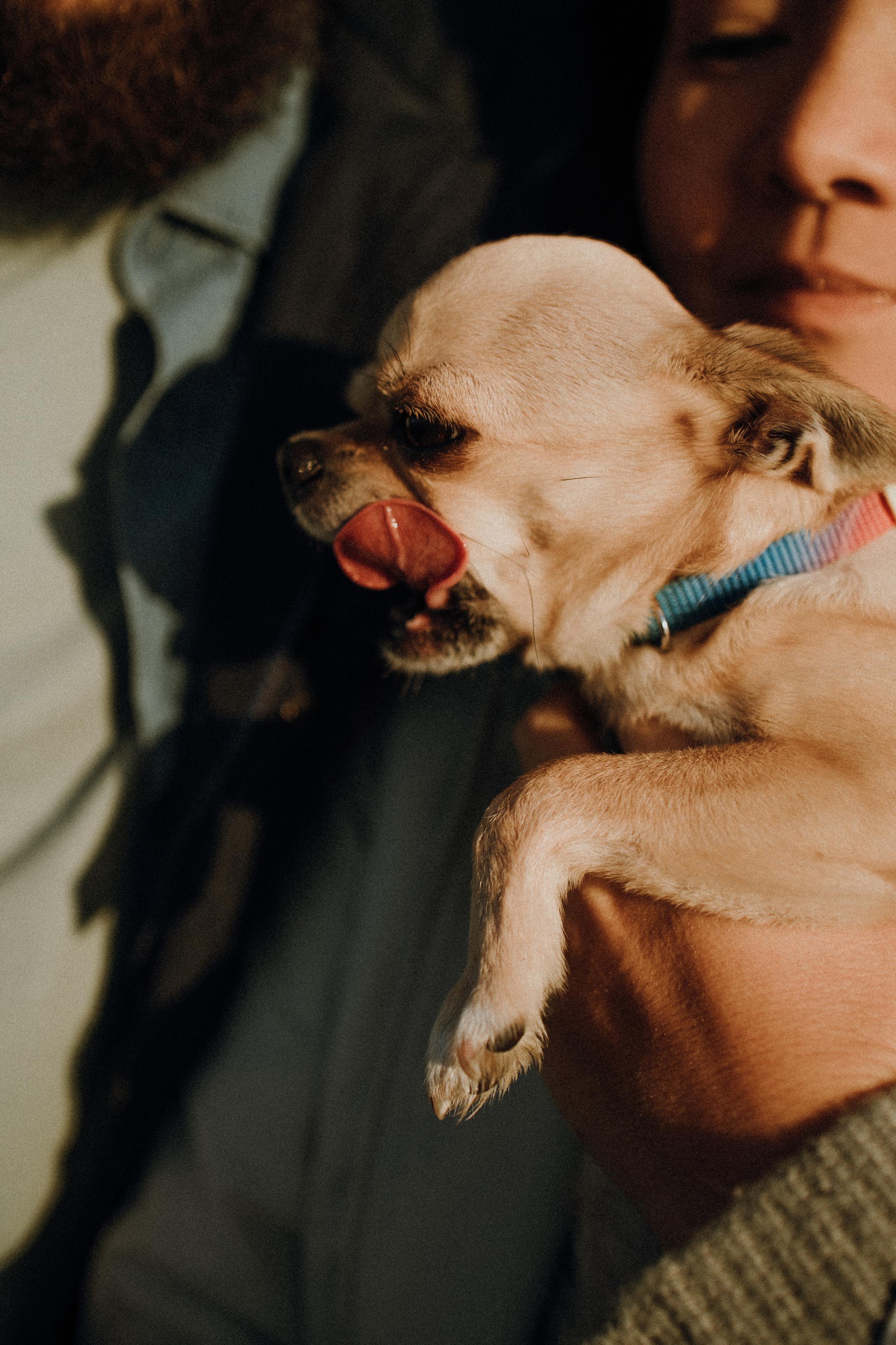 Оля и Роман. Фотограф в Москве, Сочи и Красной Поляне Елена Федоткина