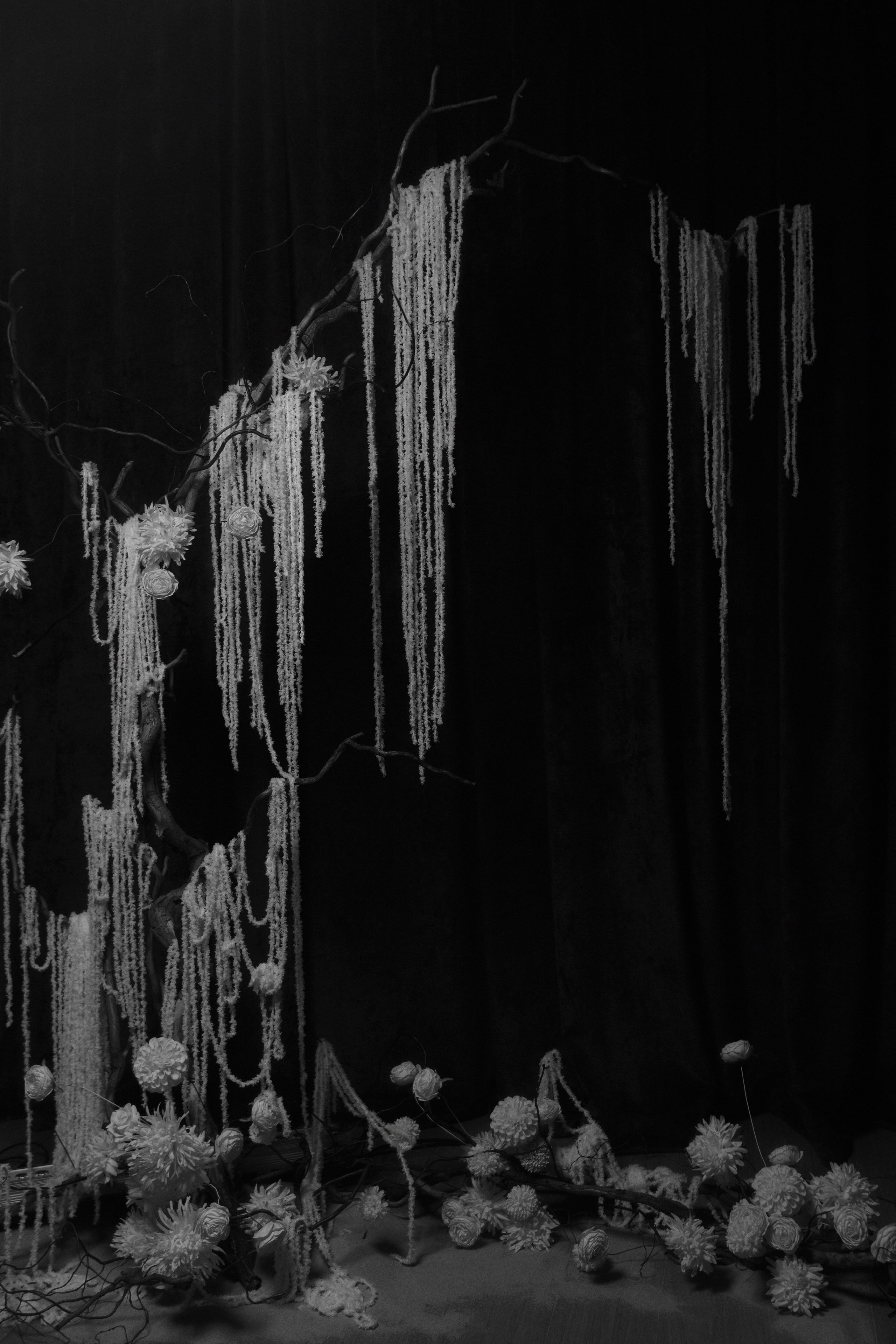 Александр и Елена. Свадебный фотограф в Барнауле Четошникова Анна