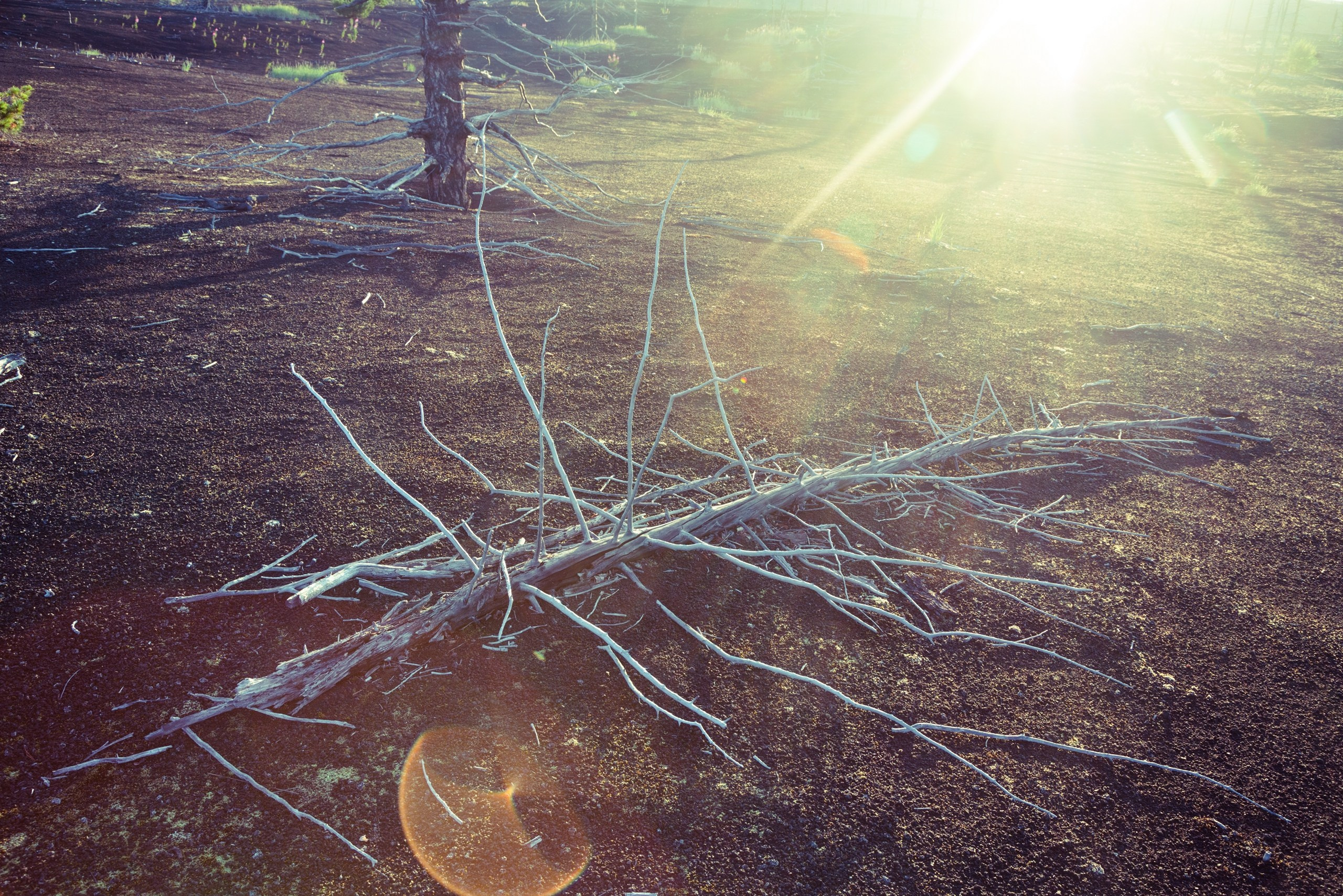Камчатка. Фотограф Владимир Медведев