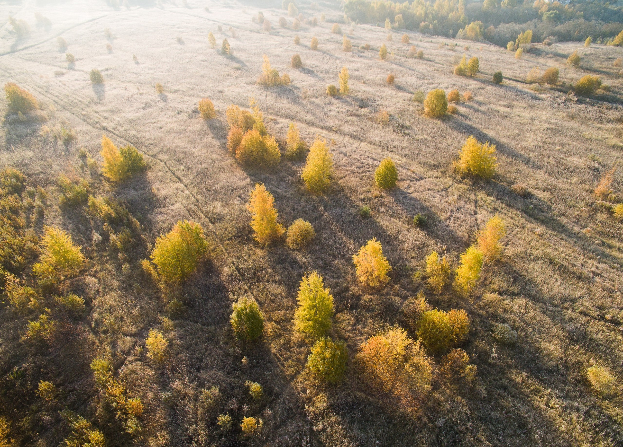 Средняя полоса России. Фотограф Владимир Медведев