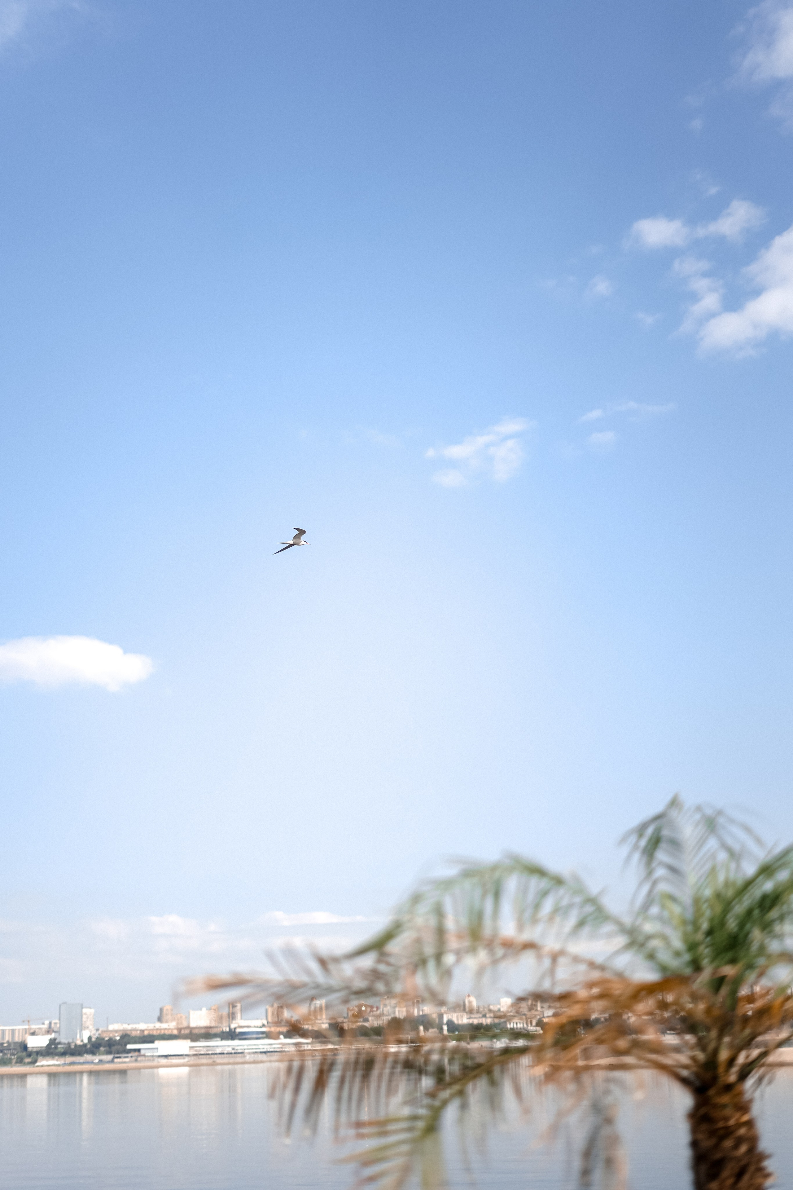 Лида. Фотограф Валерия Крахмалева