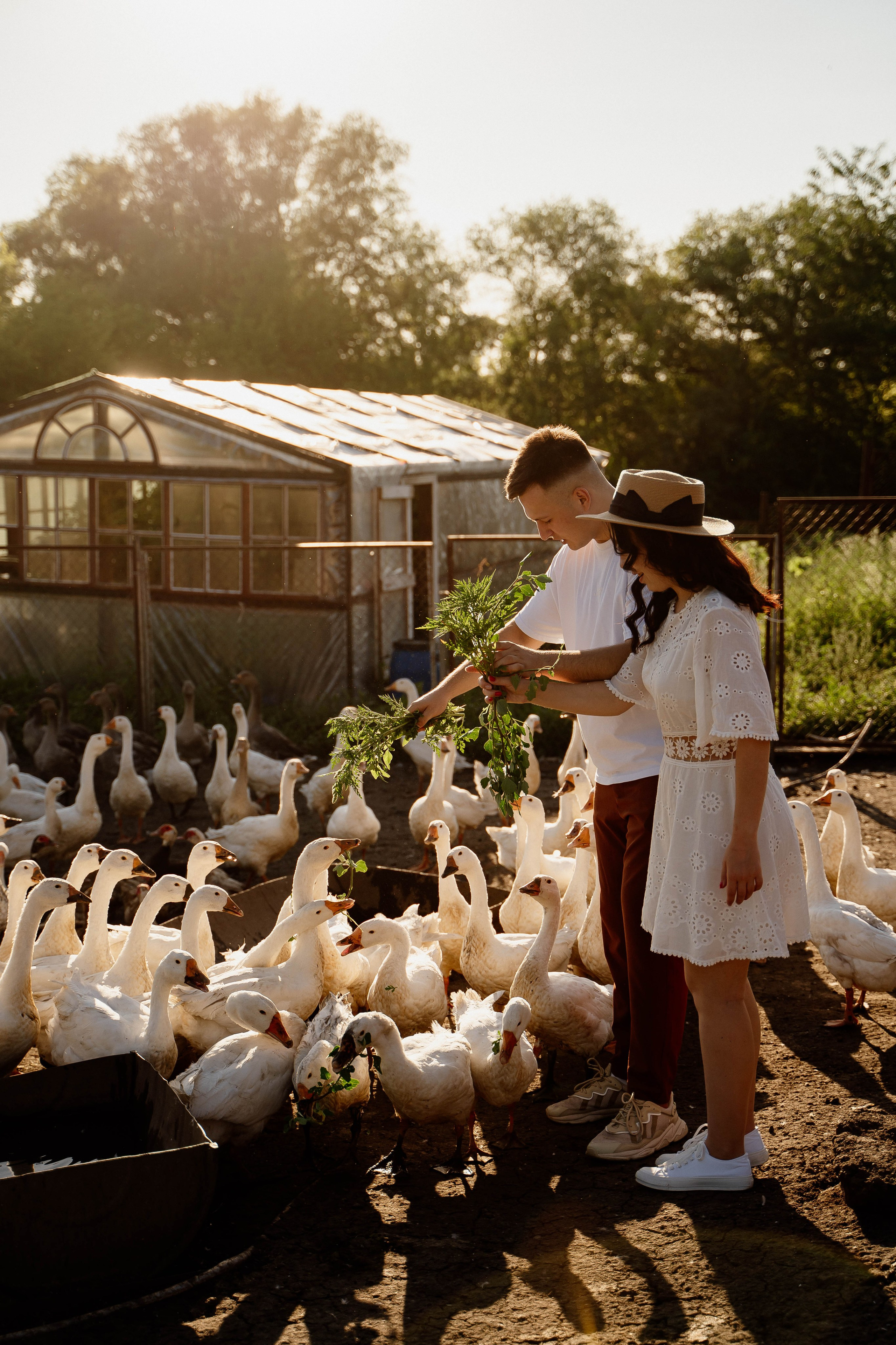 Любовь и лимоны. Свадебный и семейный фотограф
