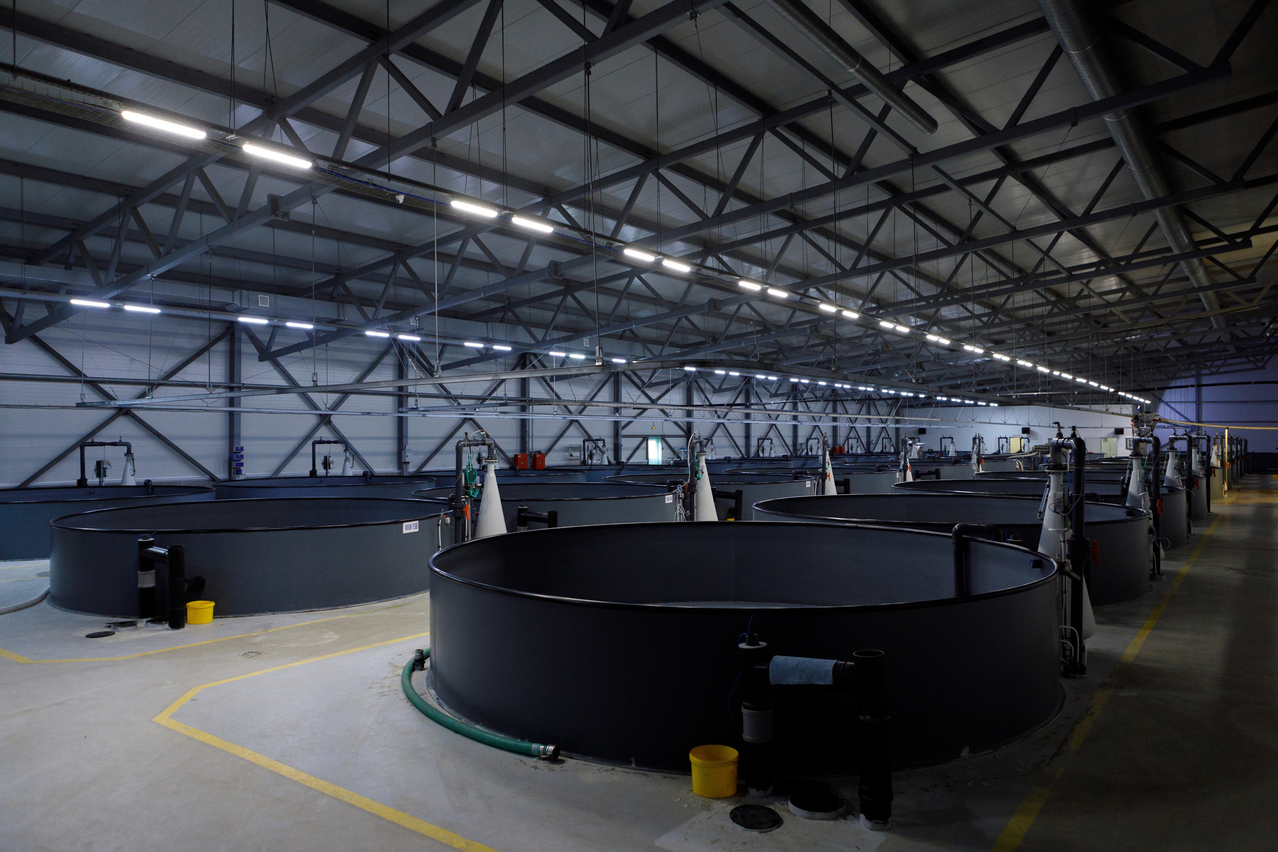 Kala-Ranta Trout Farm. Commercial photographer | Anton Ermakov