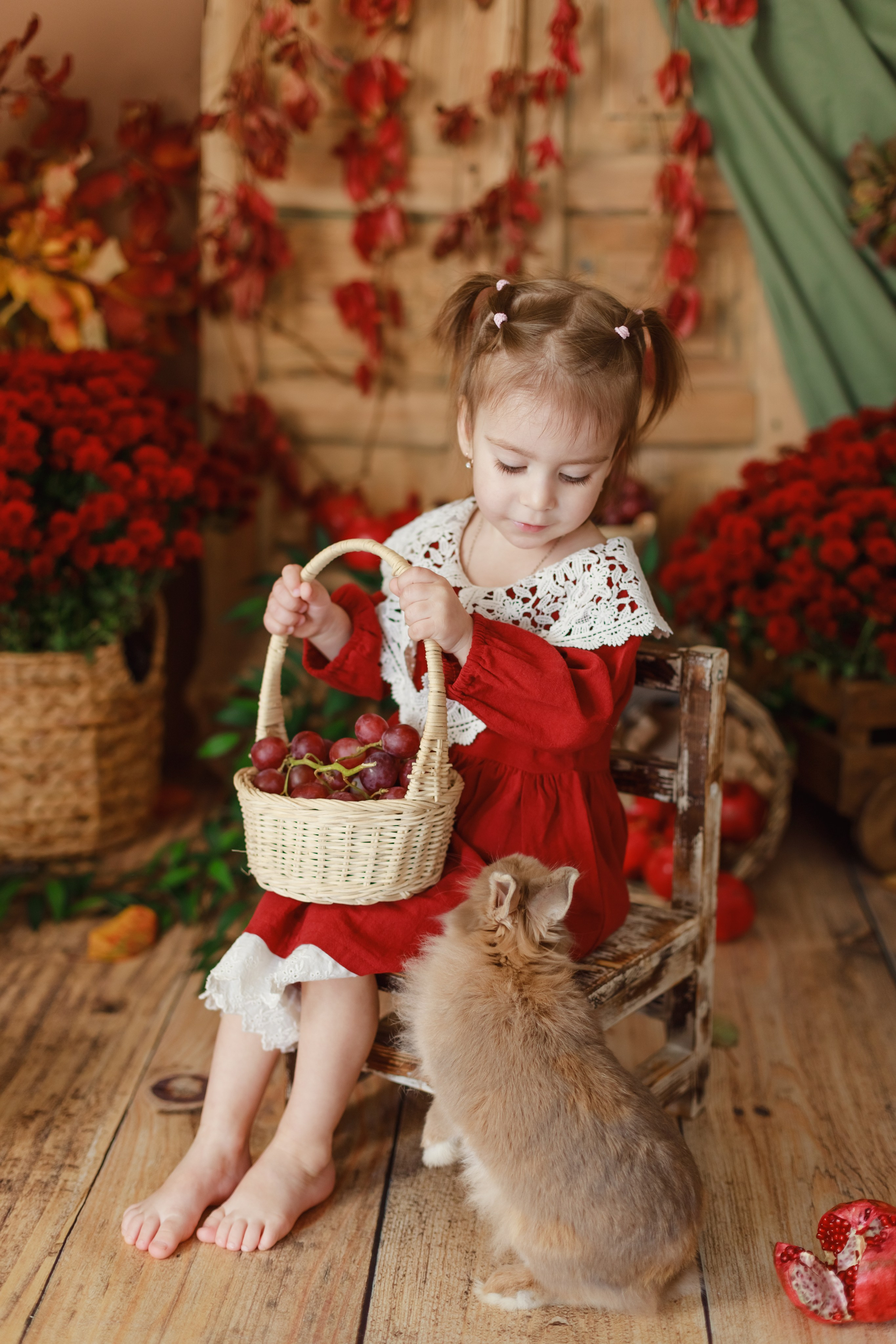 Гранаты 2024. Детский и семейный фотограф в Краснодаре Альбина Морозова