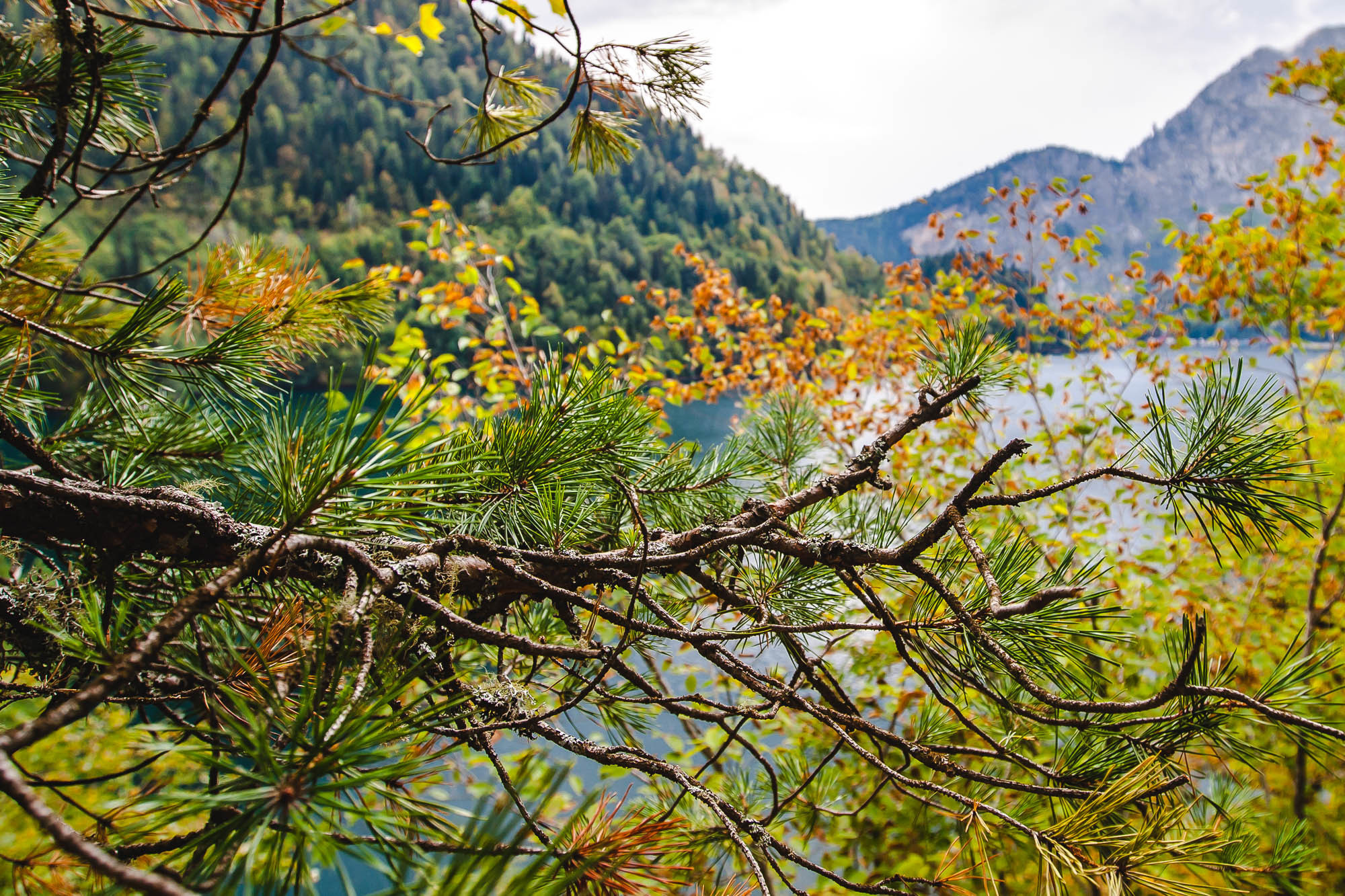 Абхазия. Фотограф Дмитрий Питерский