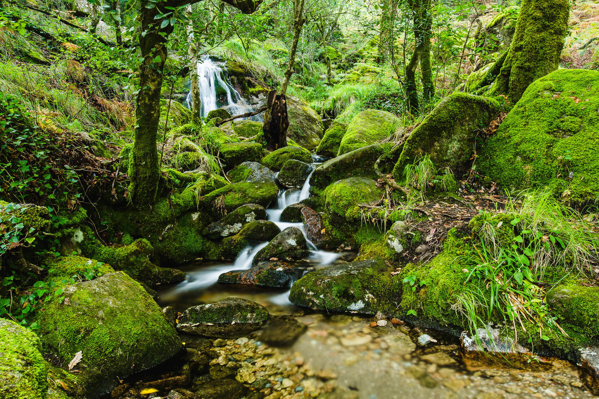 Португалия. Фотограф Дмитрий Питерский