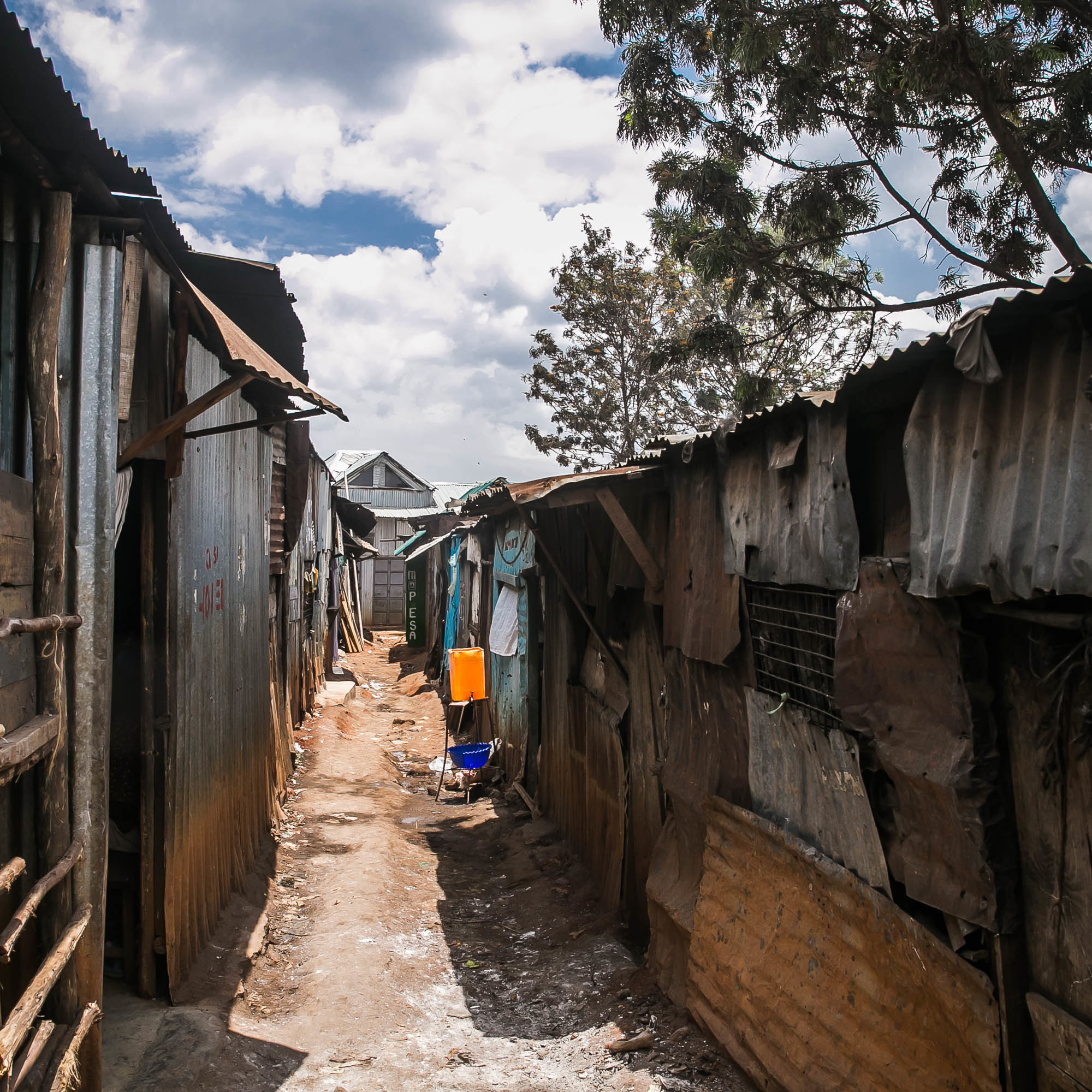 Кения. Фотограф Дмитрий Питерский