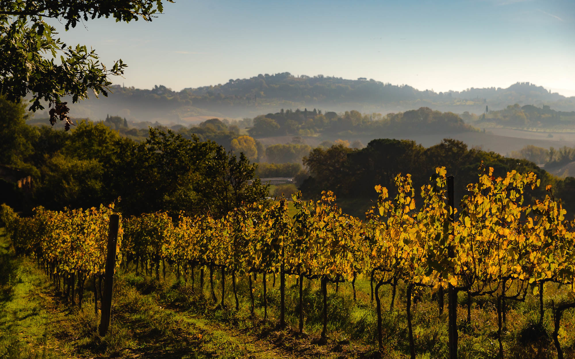 Италия. Фотограф Дмитрий Питерский
