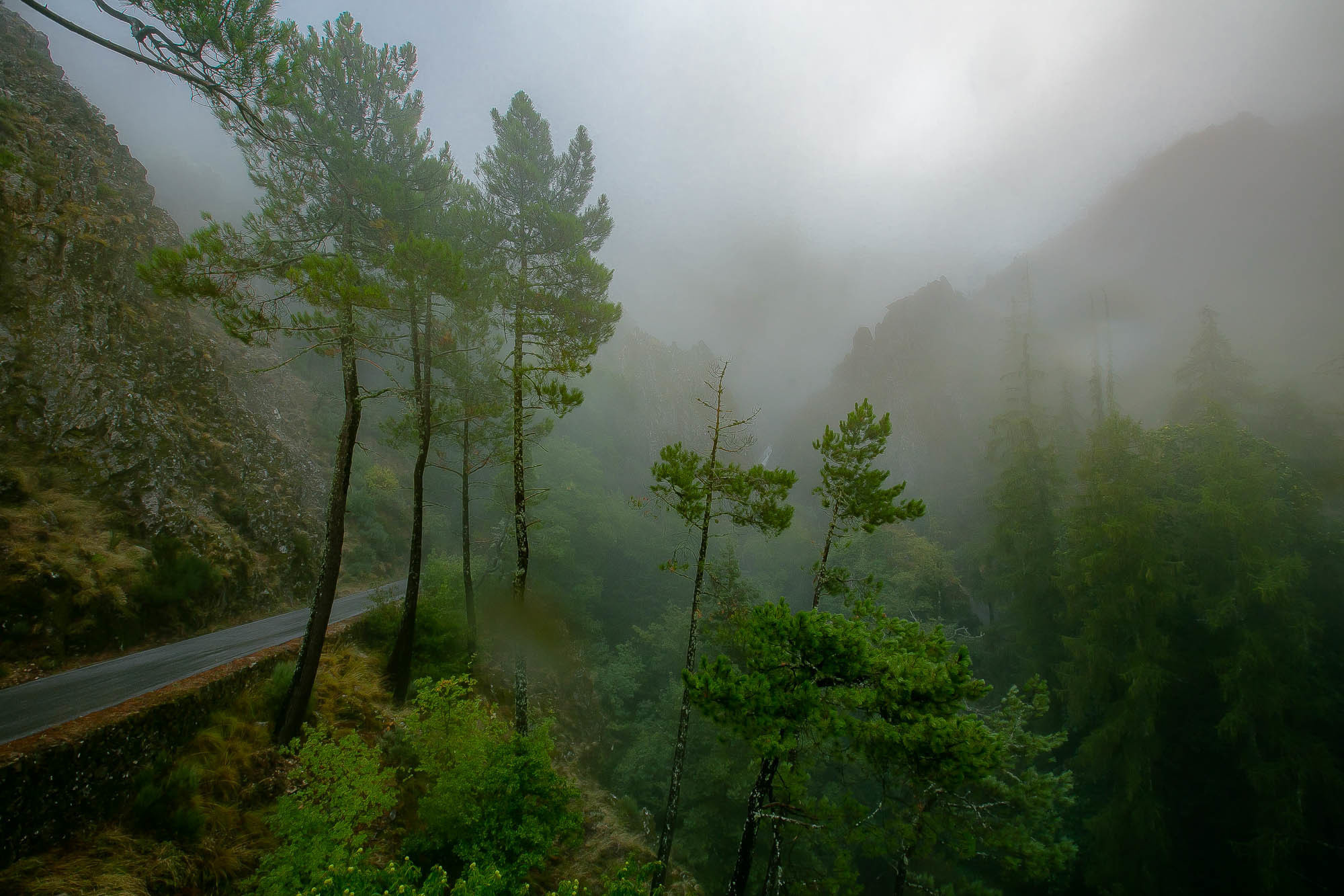 Португалия. Фотограф Дмитрий Питерский