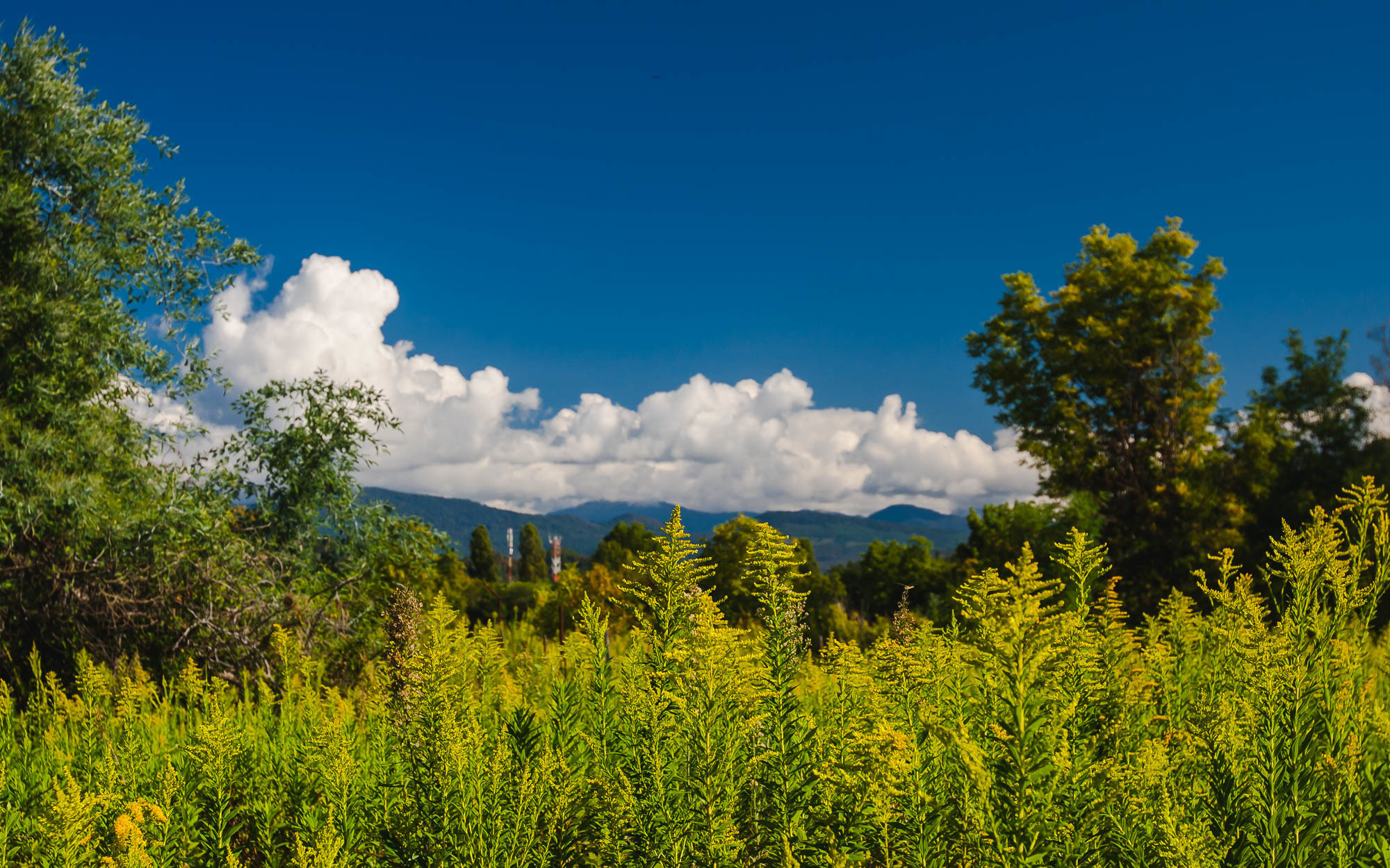 Абхазия. Фотограф Дмитрий Питерский
