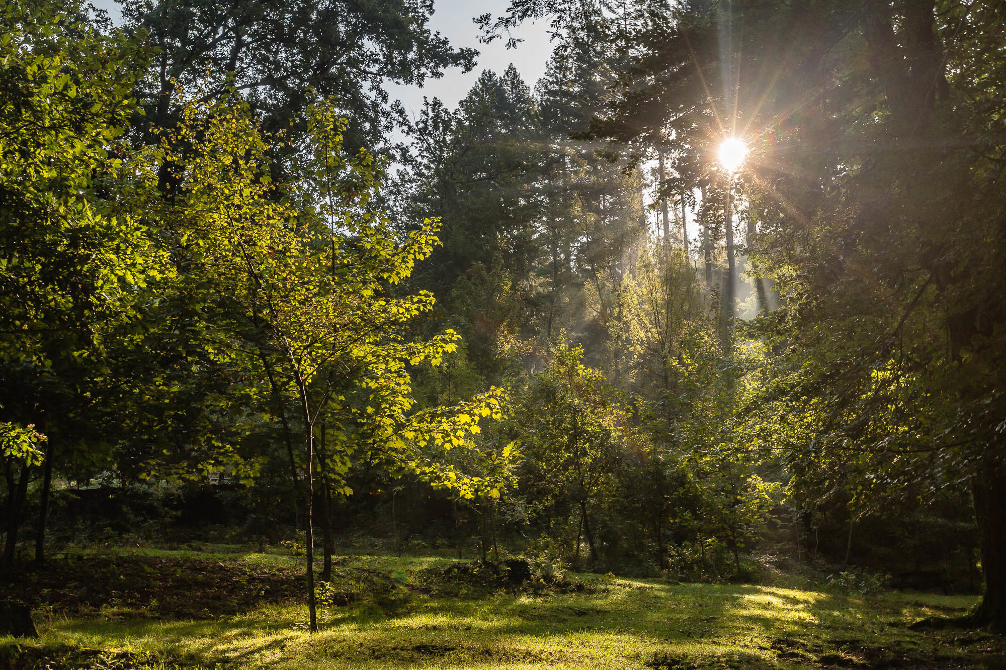 Португалия. Фотограф Дмитрий Питерский