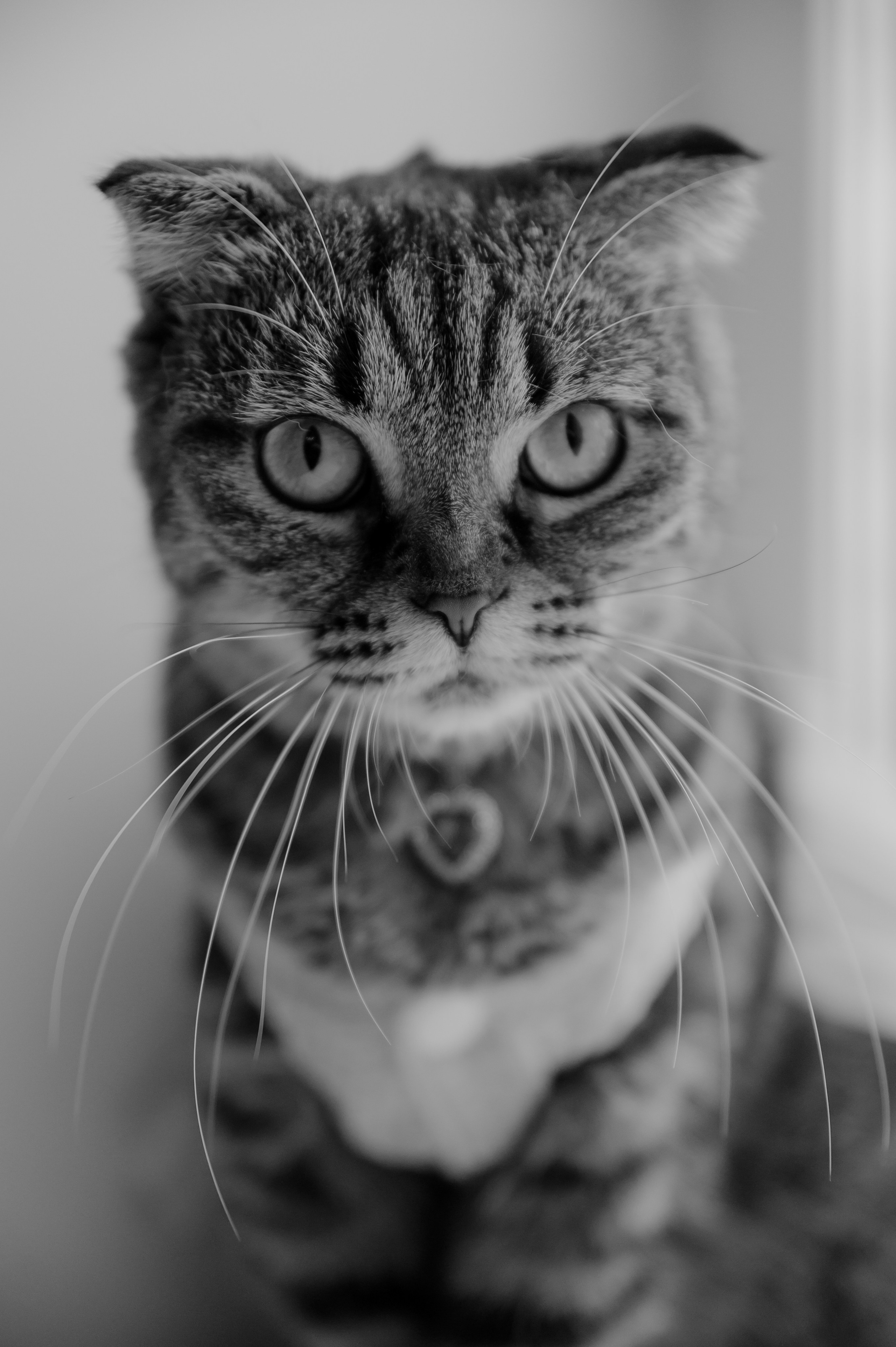 Olympus. Wedding & Event Photograph