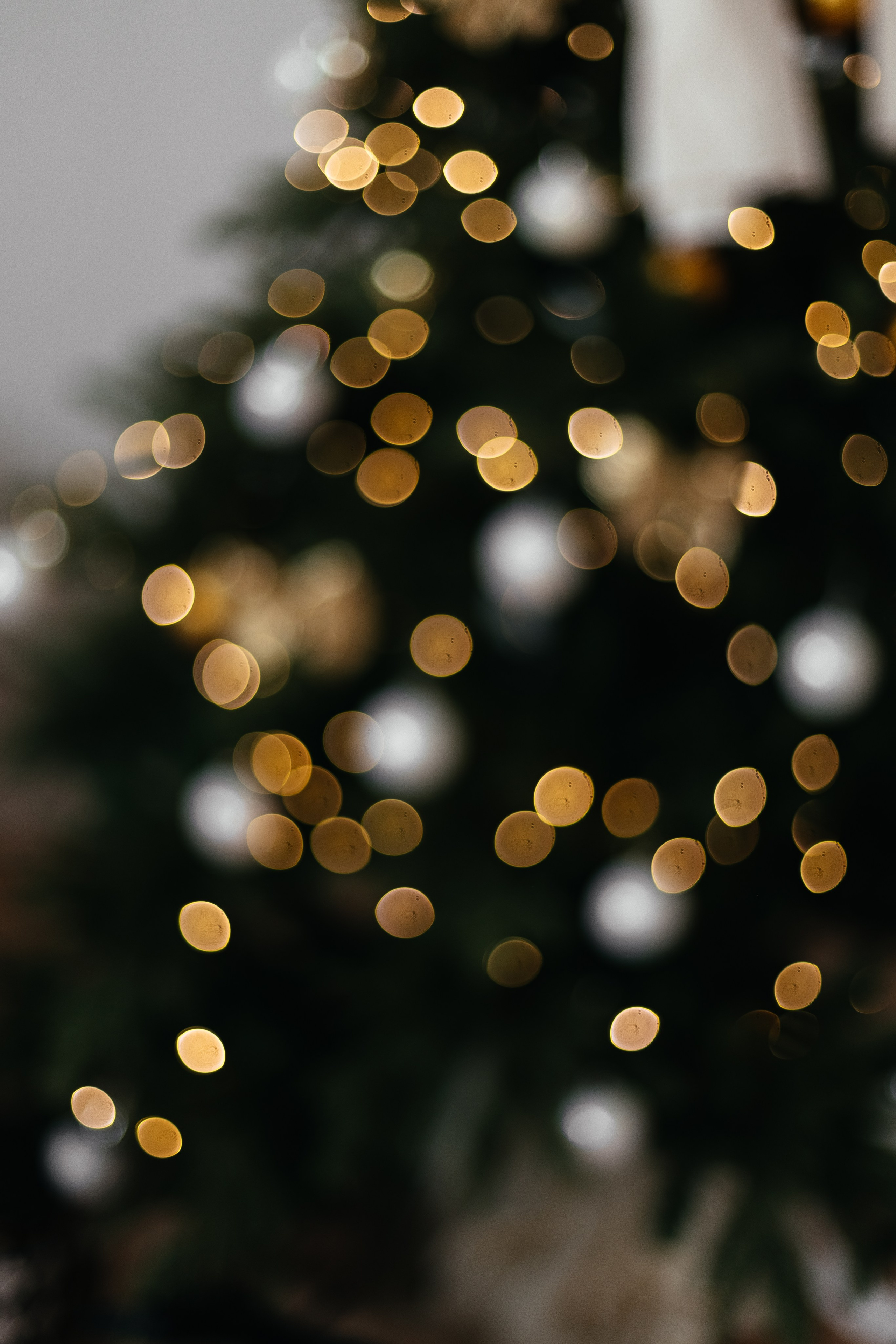 Ира. Главная