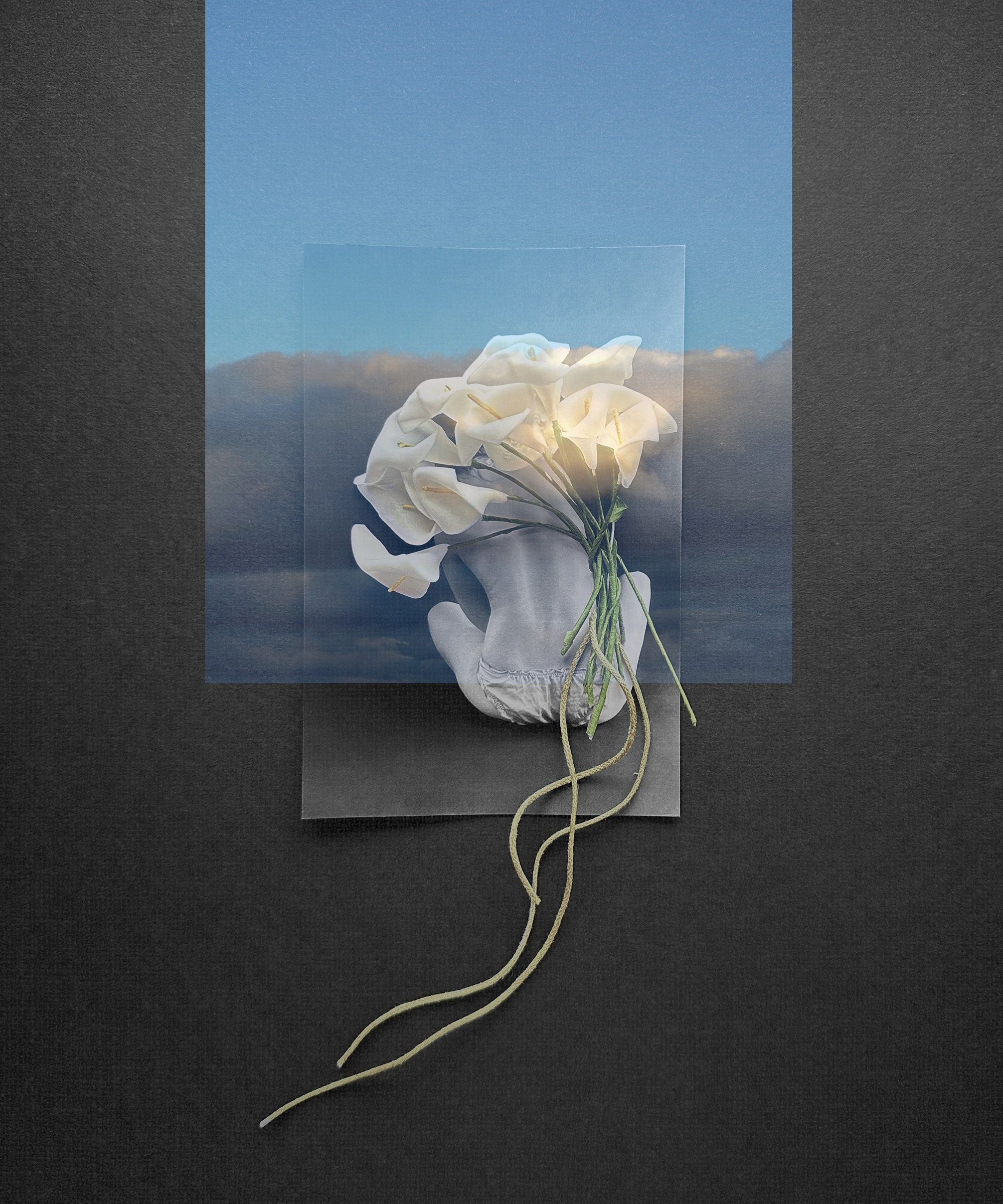 Портфолио. Визуальный художник Ольга Кутерина