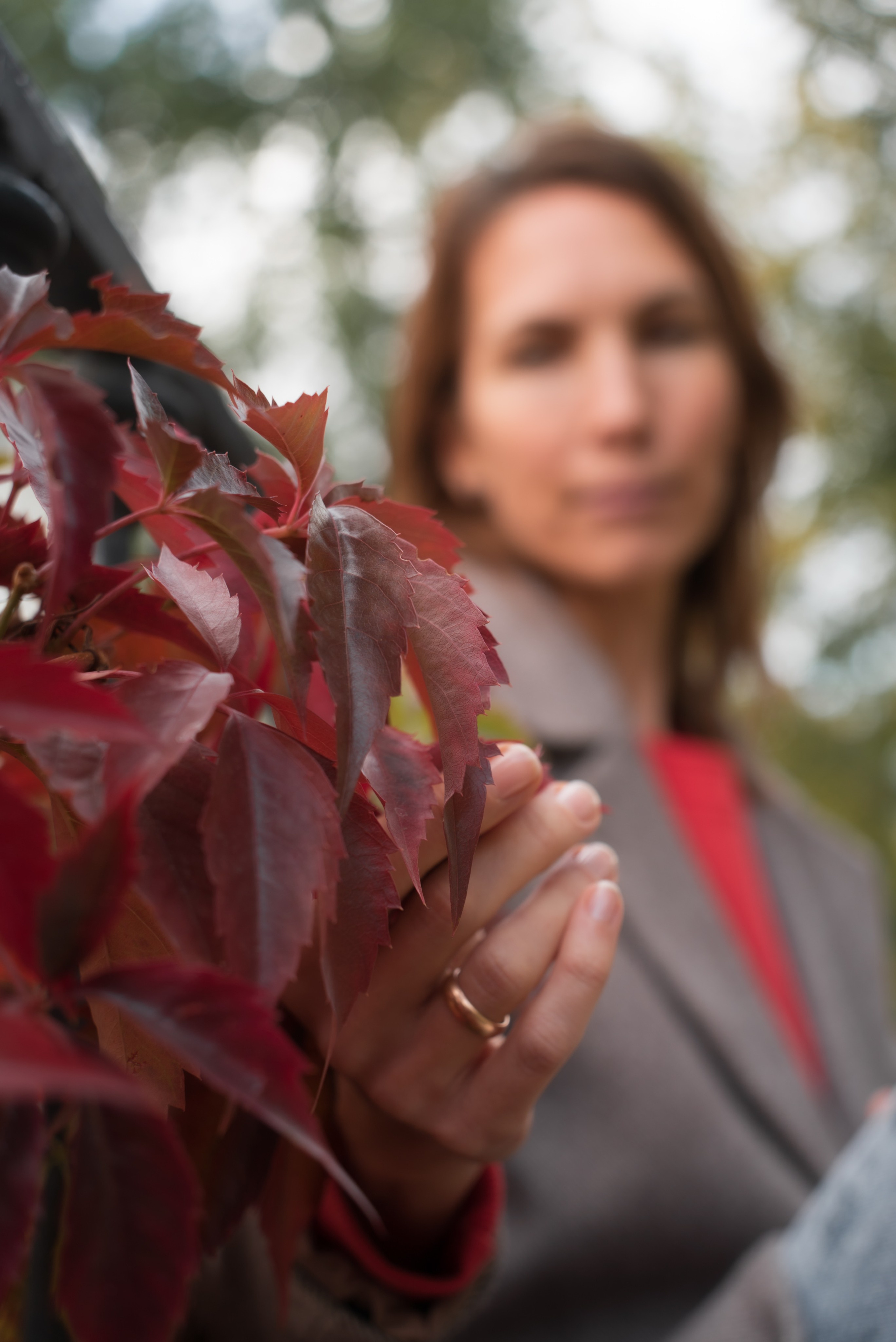 Золотая осень. Видеограф Осинина Татьяна — видеосъемка в Москве