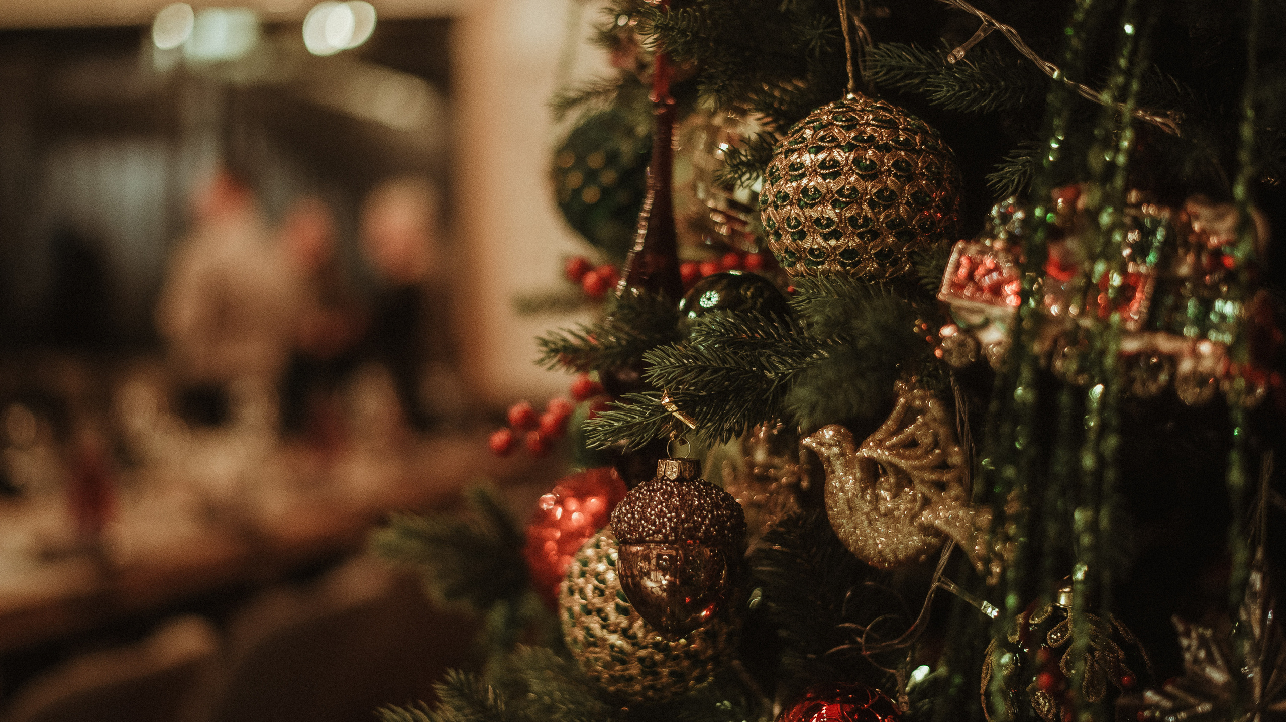 Мастер-класс от BORK. Фотограф Мария Хлебникова Санкт-Петербург Москва