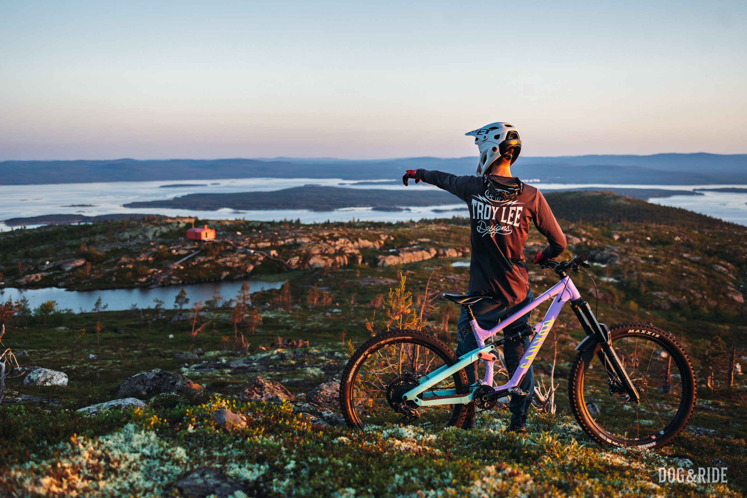 Кандалакшка. Фотограф анималист Никита Натальный