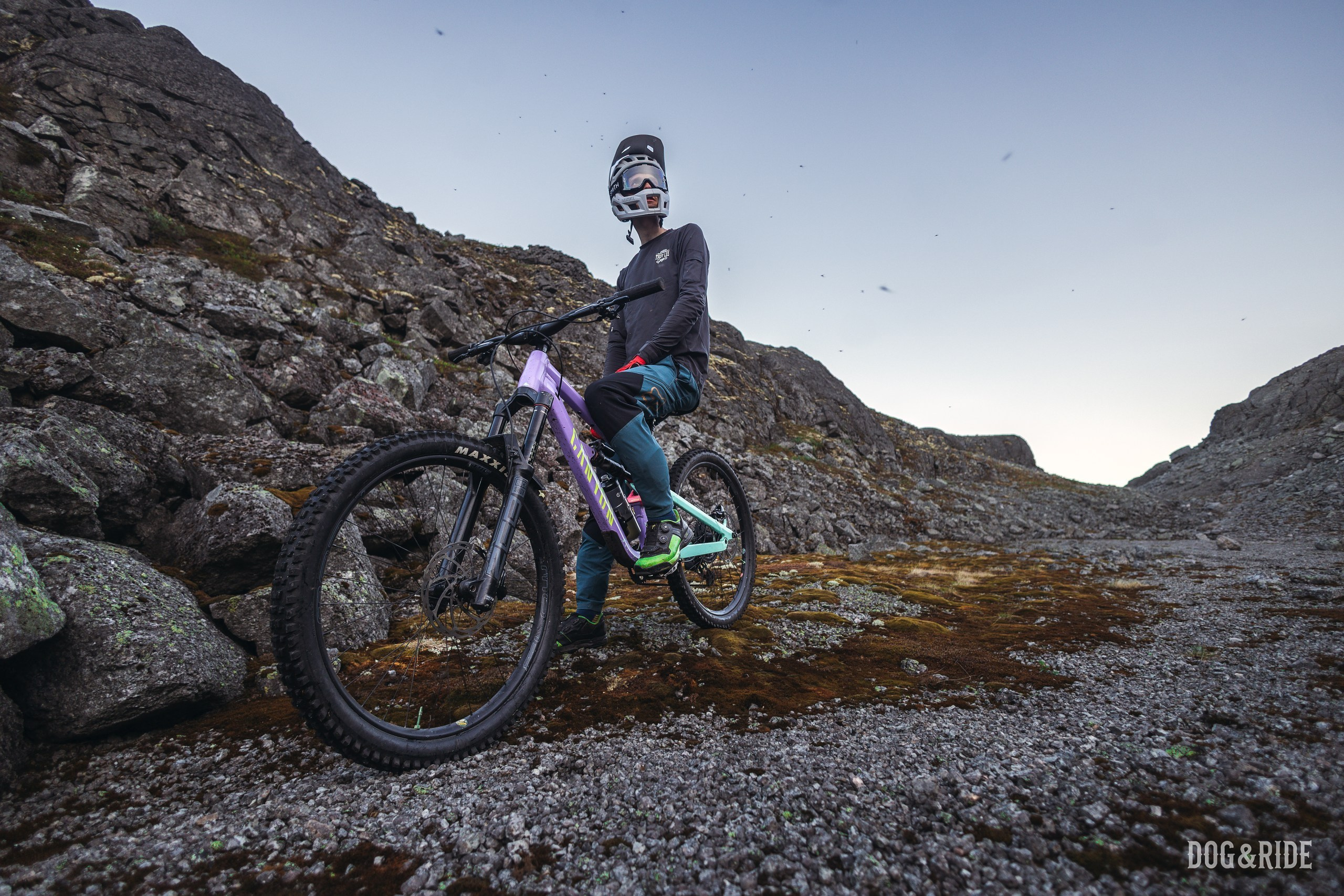 Хибины. Фотограф анималист Никита Натальный