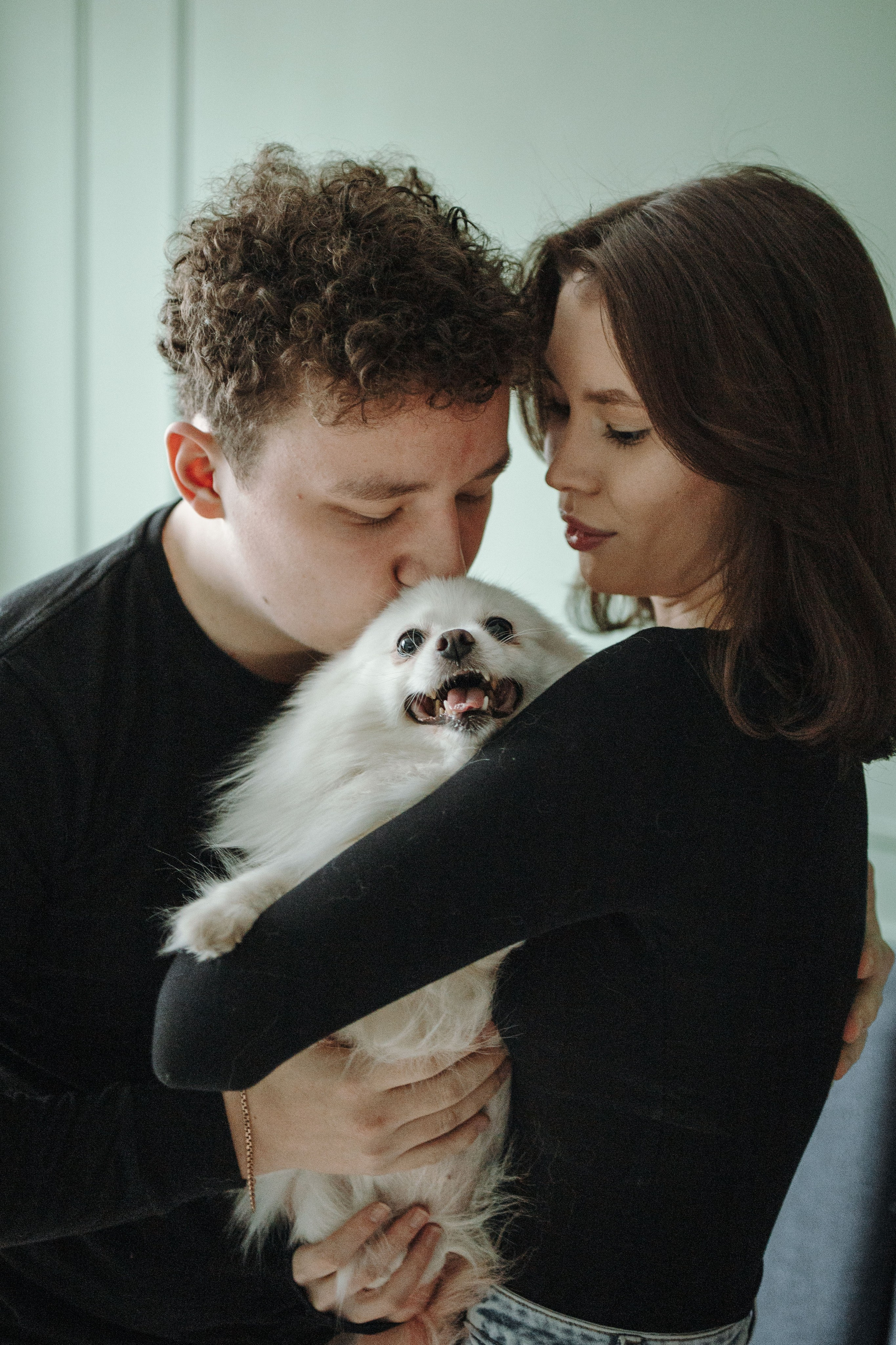 Шпиц Мася и ее семья