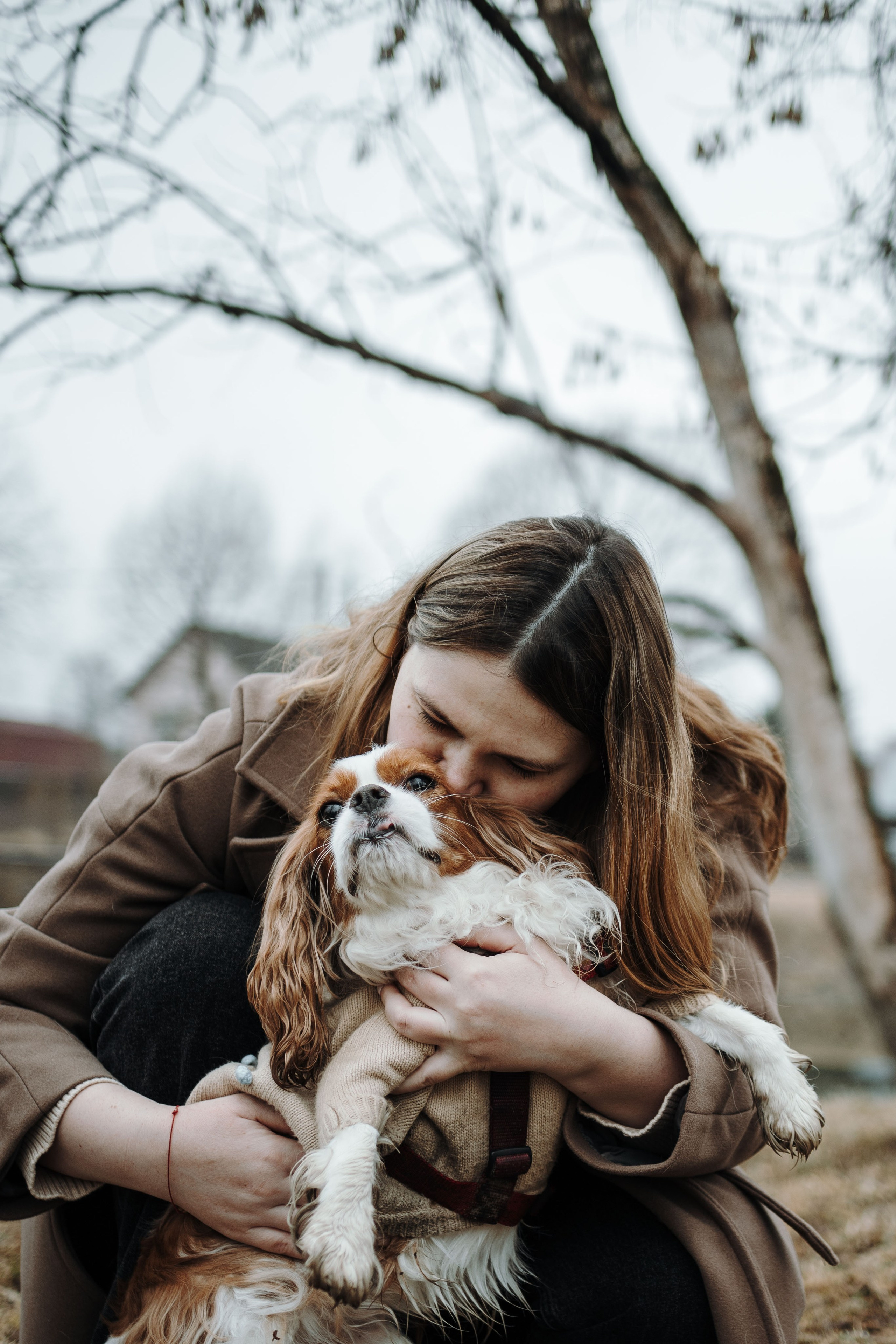 Любовь и Альтаир