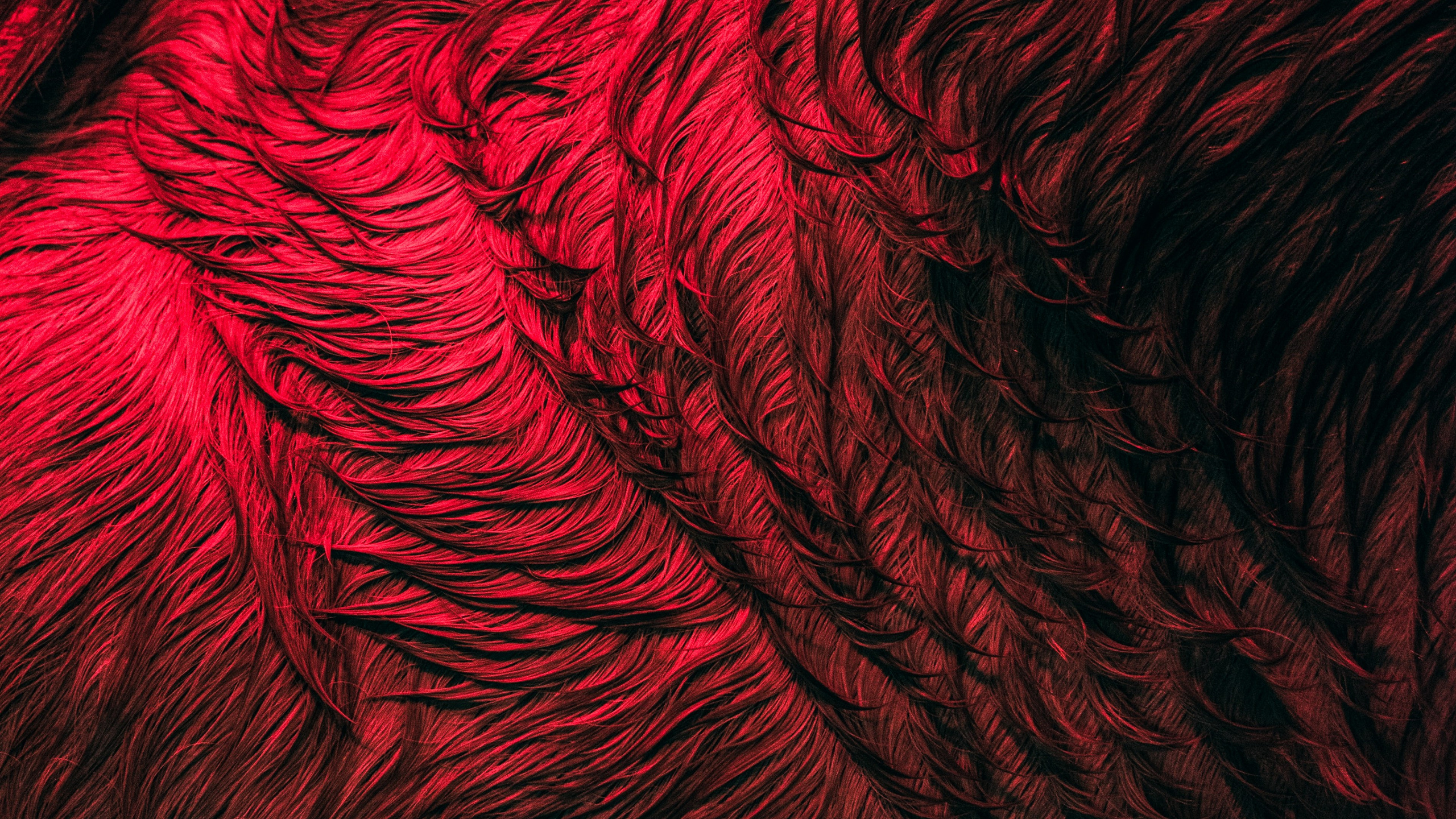 Проектор. Фотостудии К69